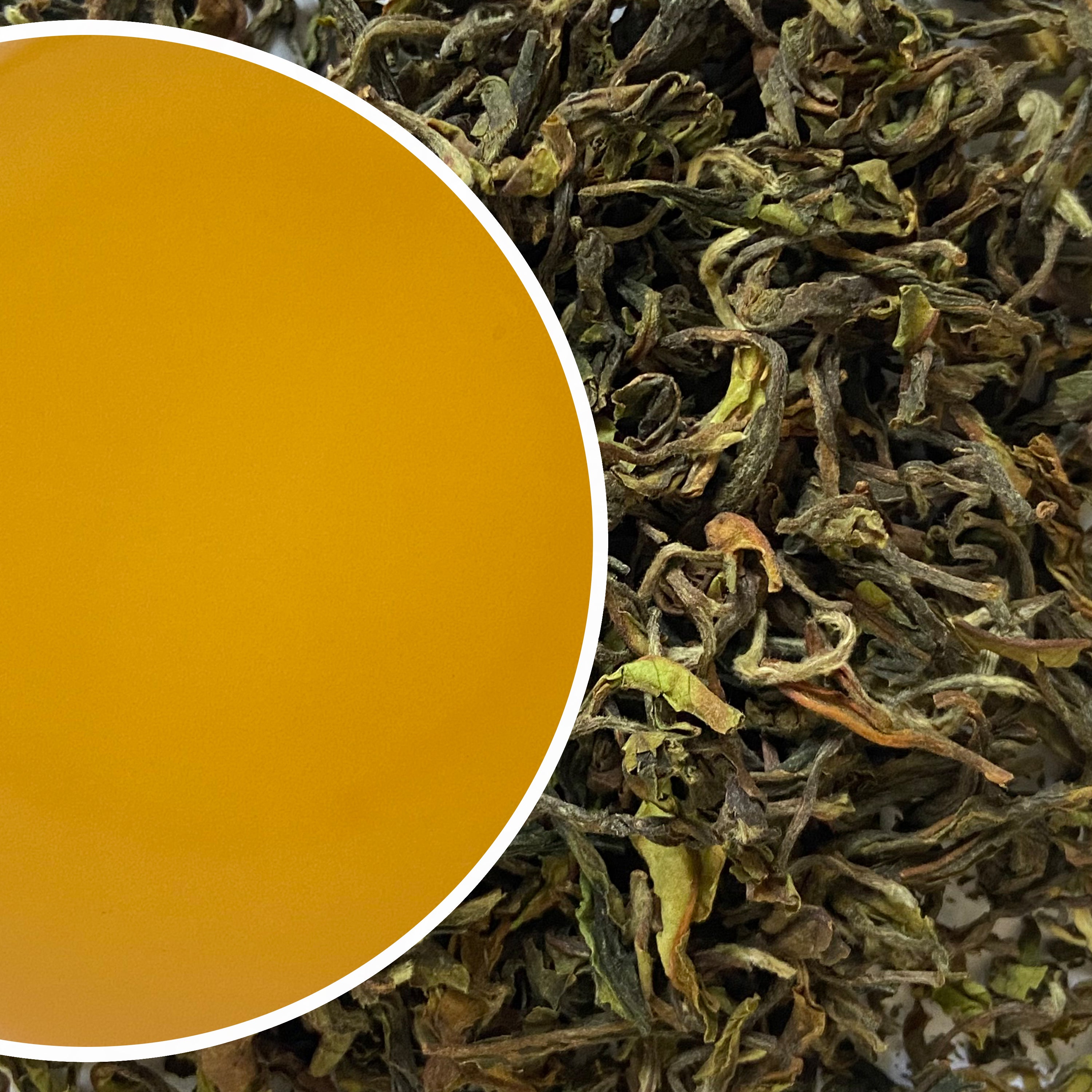 Arya - Ruby Spring Royale Organic Darjeeling Black Tea First Flush 2024