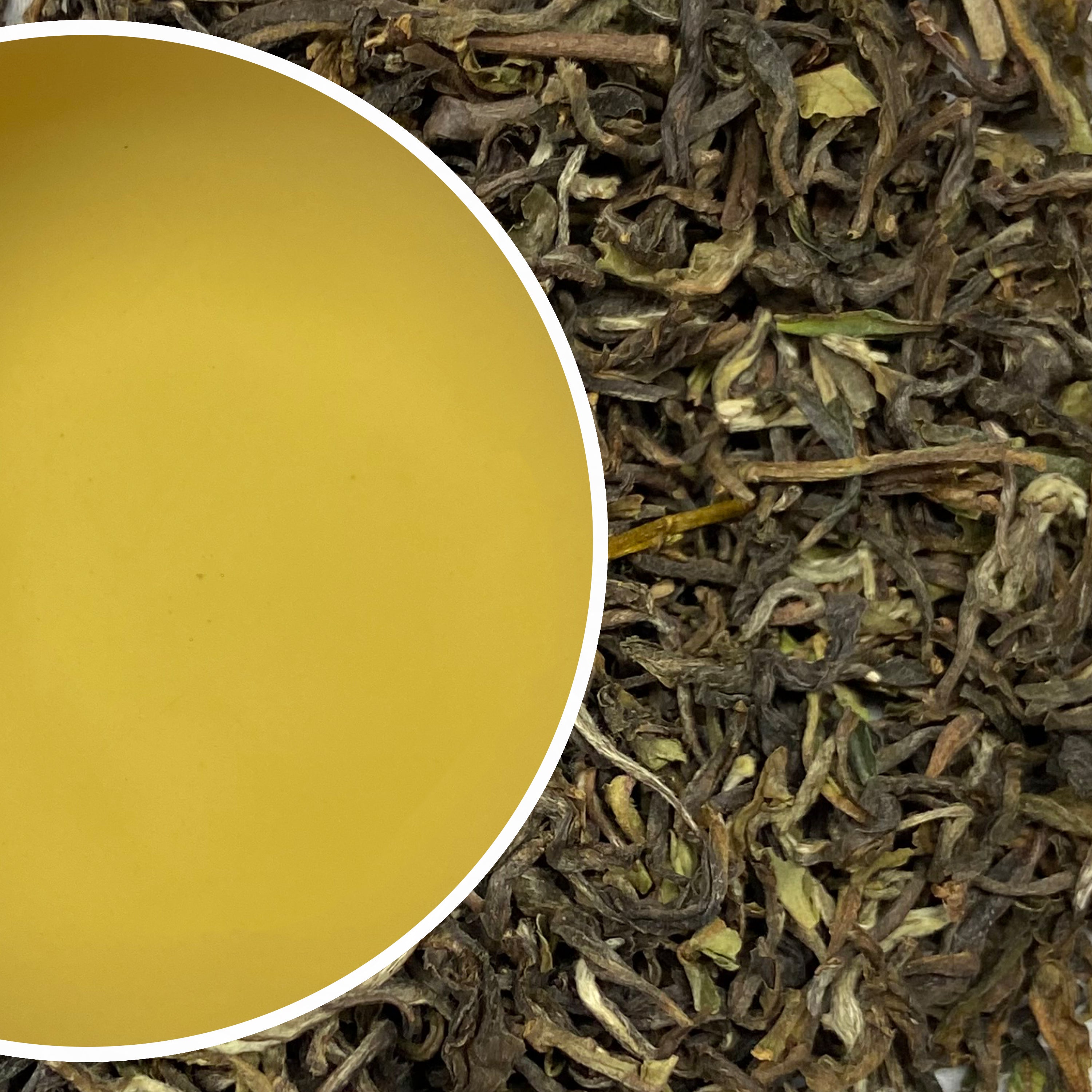 Spring Conflux Darjeeling Black Tea First Flush 2024