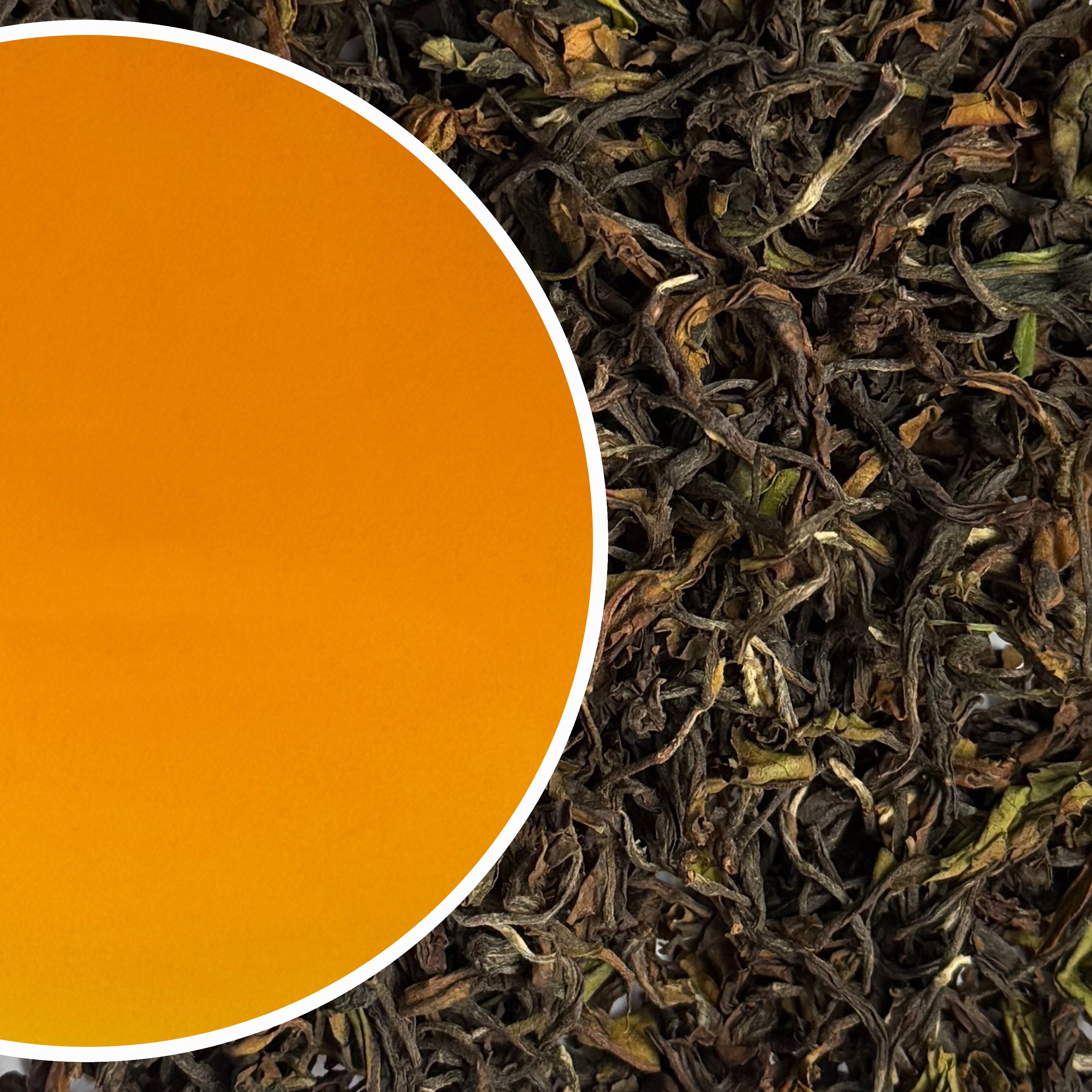 Arya - Ruby Relish Darjeeling Black Tea First Flush 2025