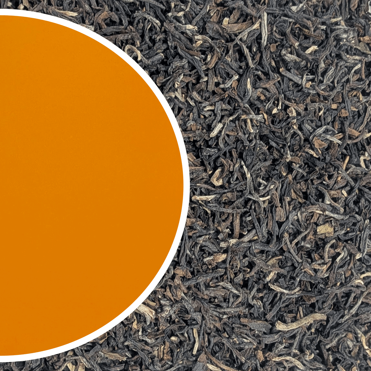 Margaret's Hope - Summer Tippy Glory Darjeeling Tea Second Flush 2026