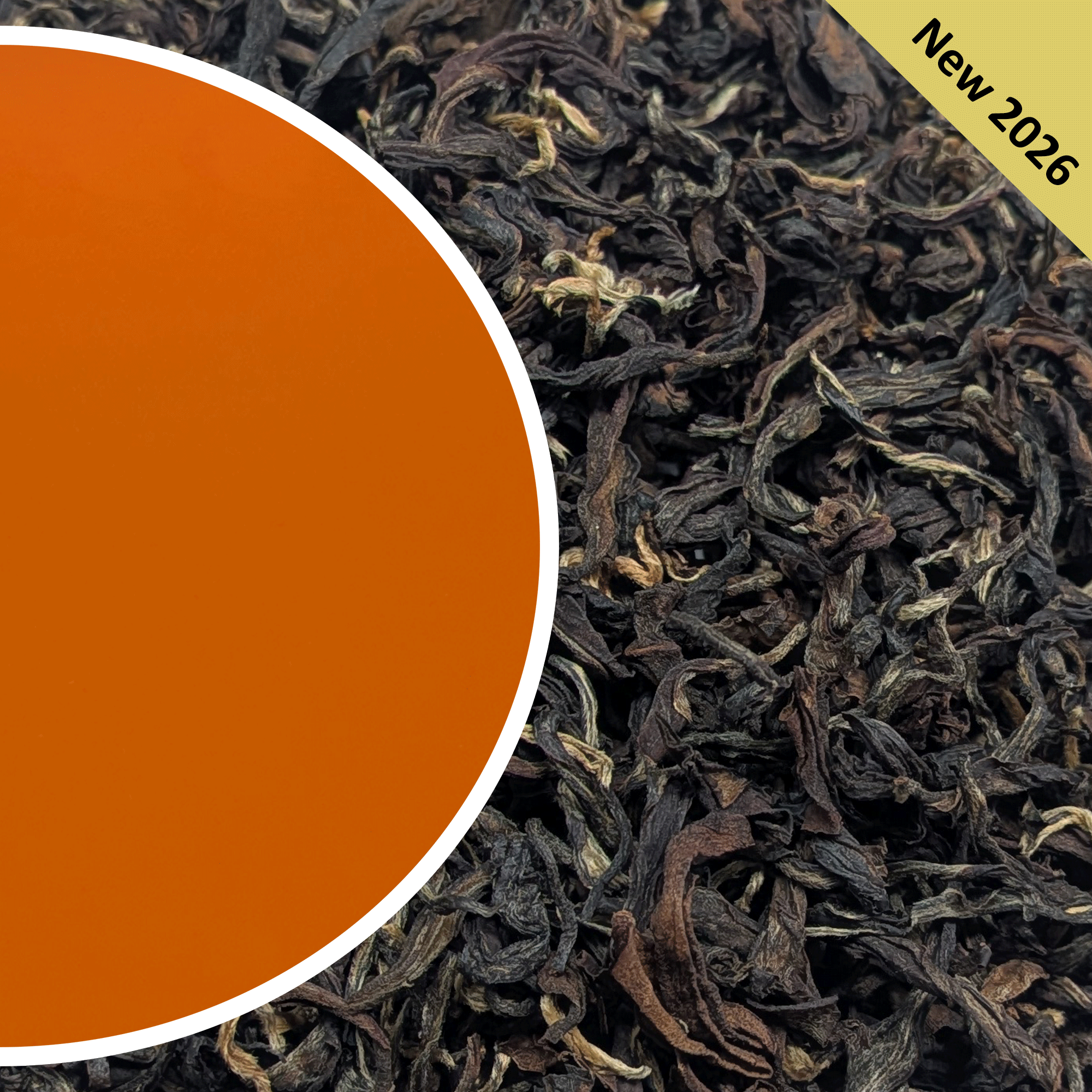 Arya - Summer Ruby - Organic Darjeeling Tea Second Flush 2026