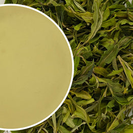 Arya - Spring Pearl Organic Darjeeling White Tea First Flush 2024