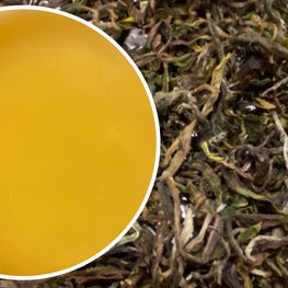 Arya - Spring Chinary Organic Darjeeling Black Tea First Flush 2024