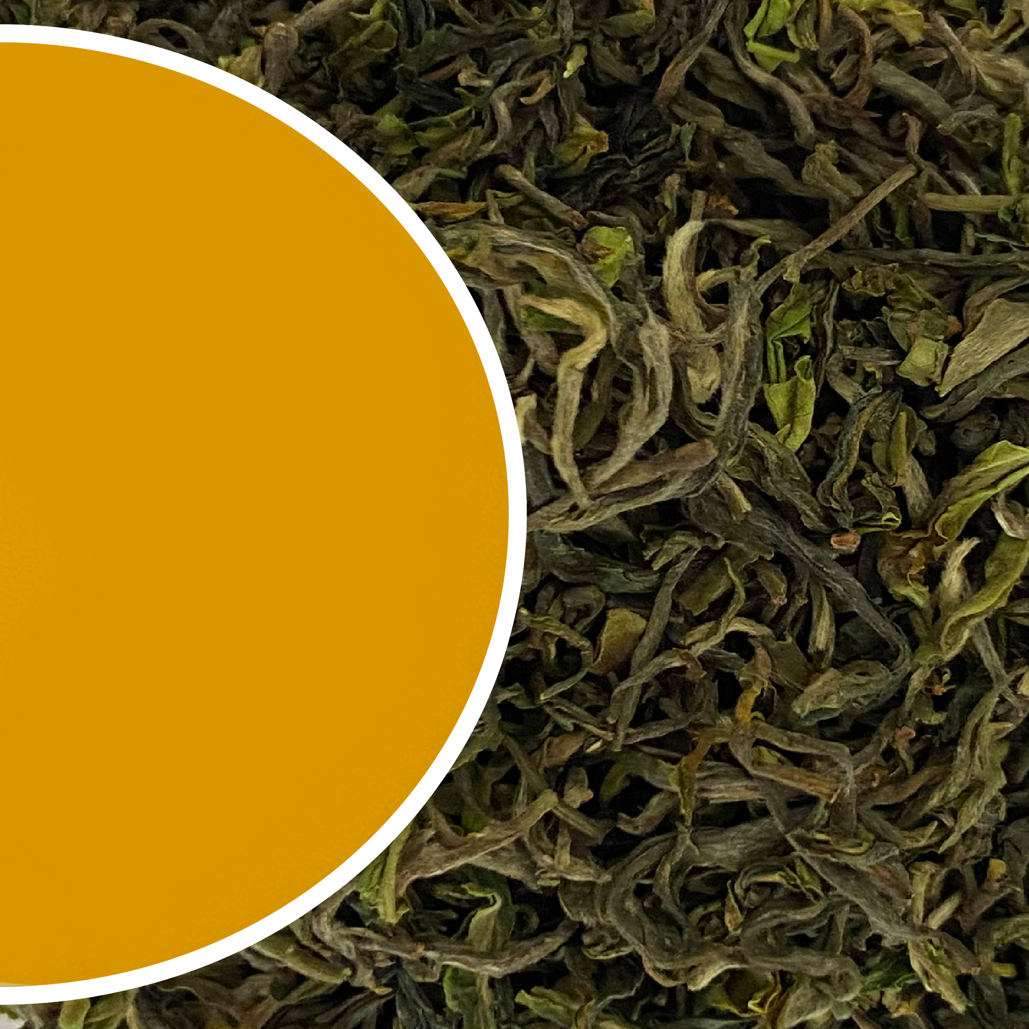 Balasun - Flavoury FTGFOPI Darjeeling Black Tea First Flush 2026