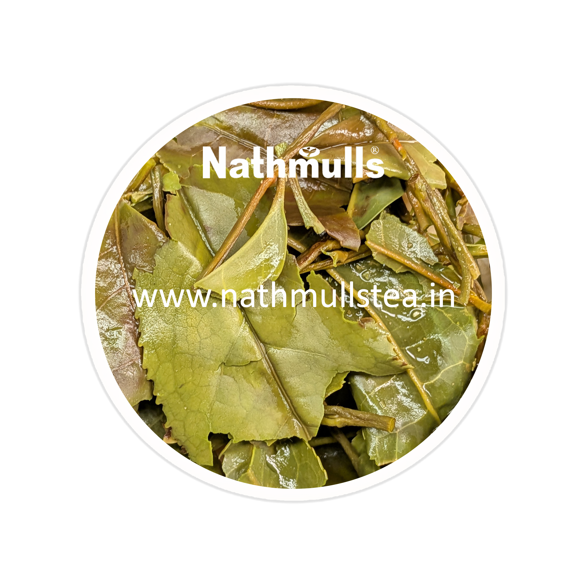 Spring Himalayan Mystique Tea First Flush 2026