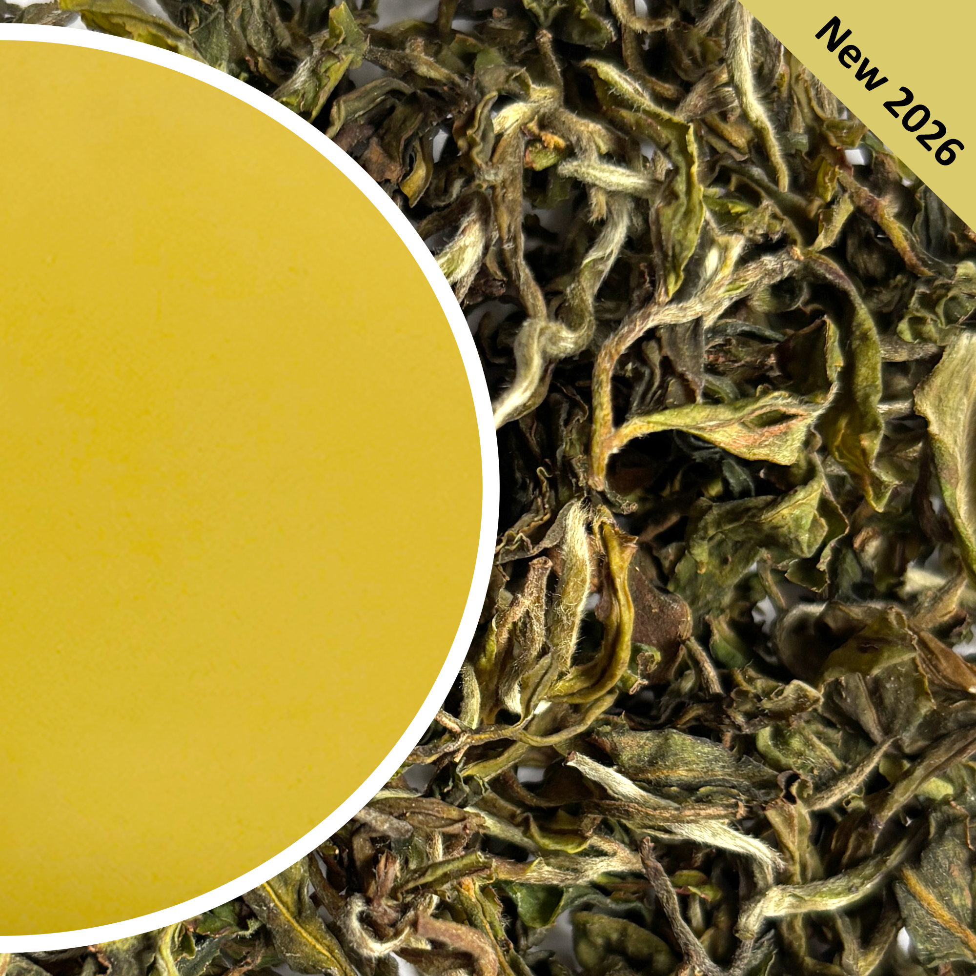 Castleton - Spring Exotic Chinary Darjeeling Tea First Flush 2026 ...