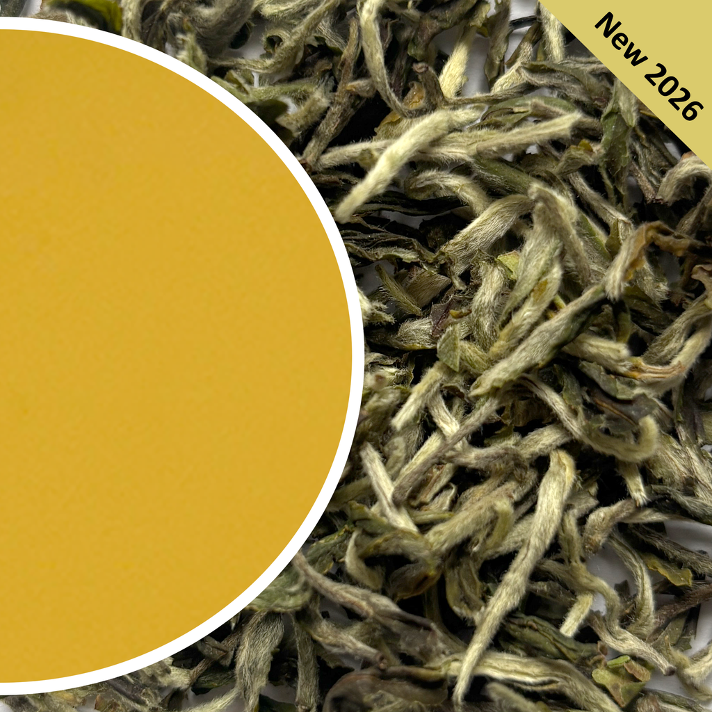 Castleton - White Heritage Superstar Darjeeling Tea First Flush 2026