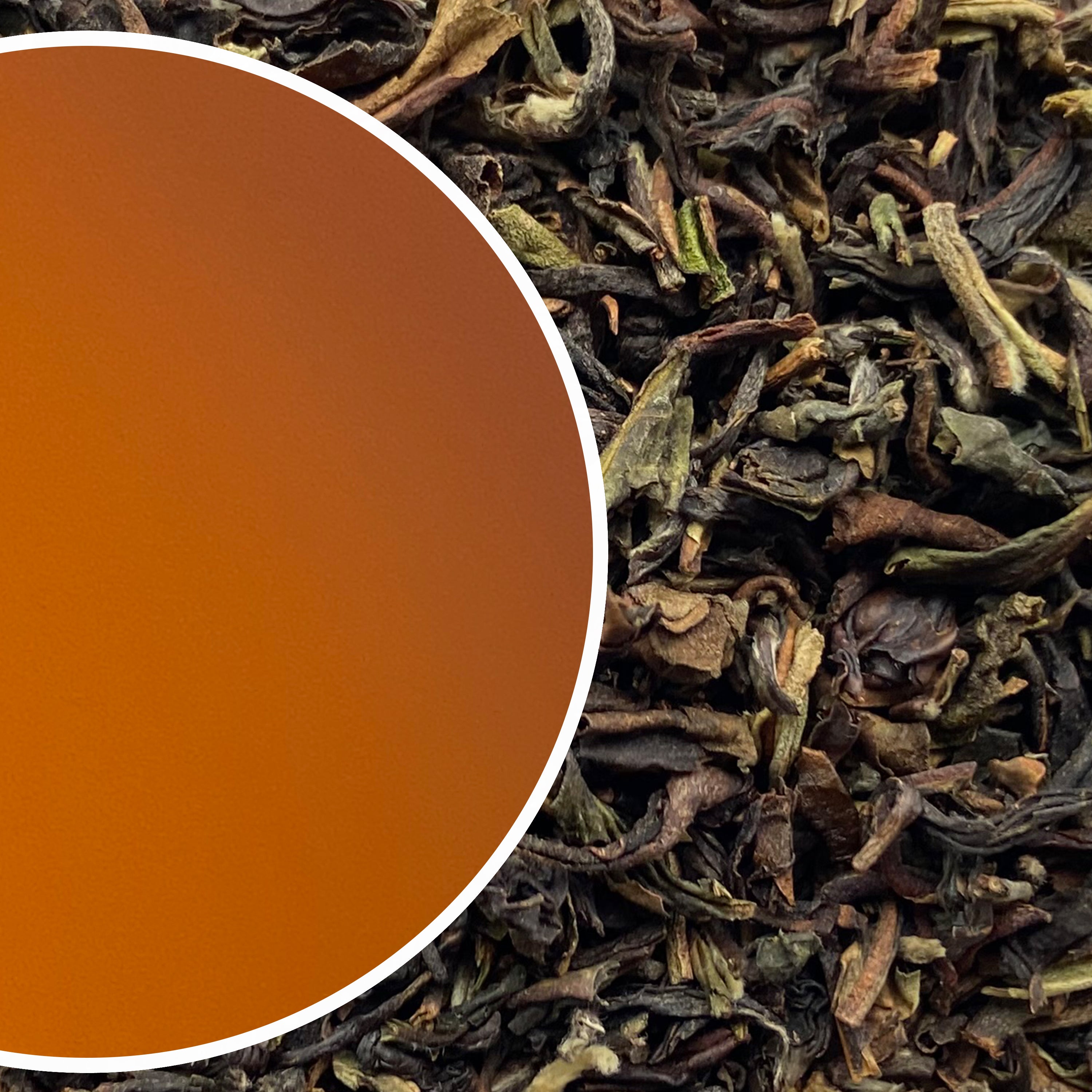 Jungpana - Autumnal Punch Darjeeling Black Tea Autumnal Flush 2023