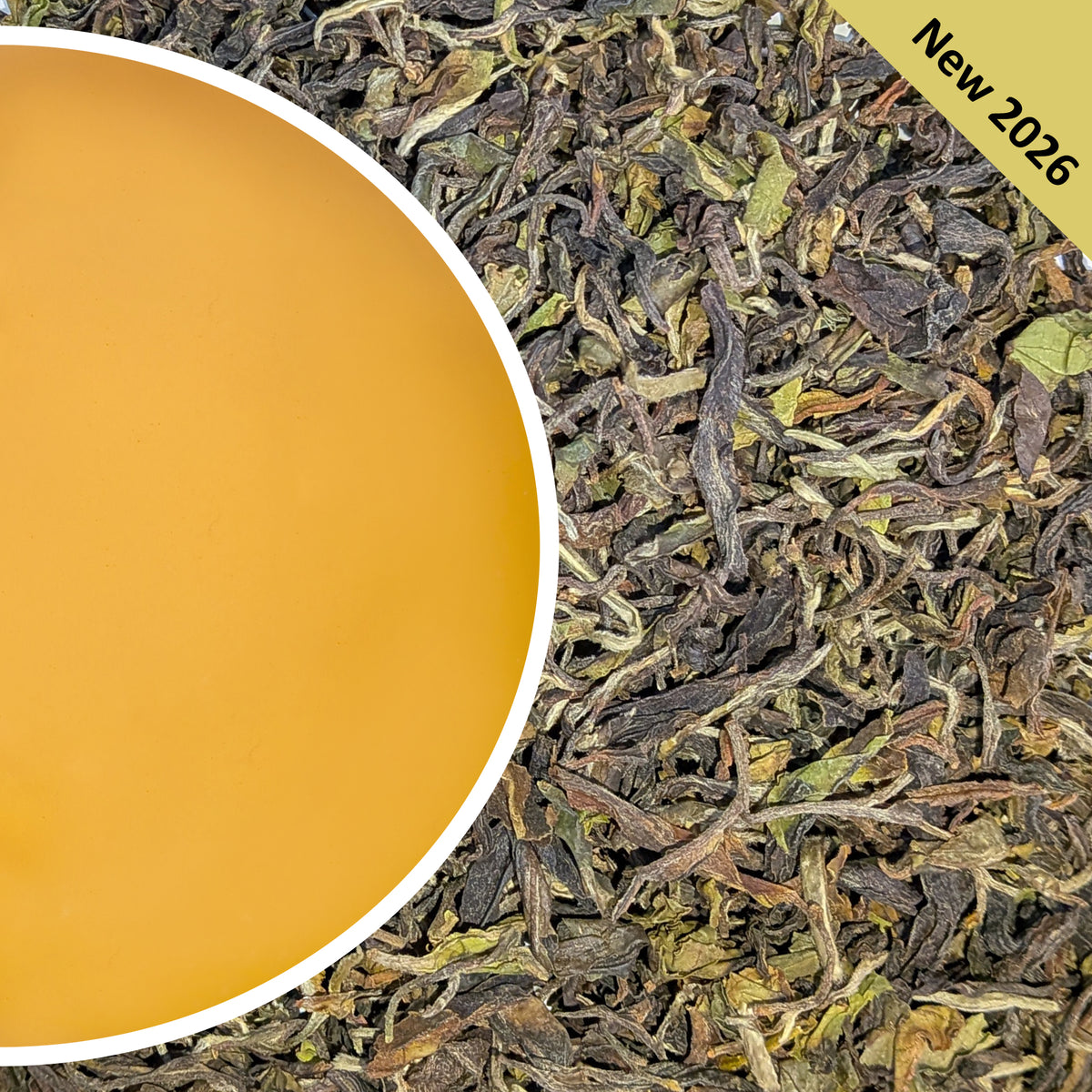 Margaret's Hope - Spring Salute Darjeeling Tea First Flush 2026