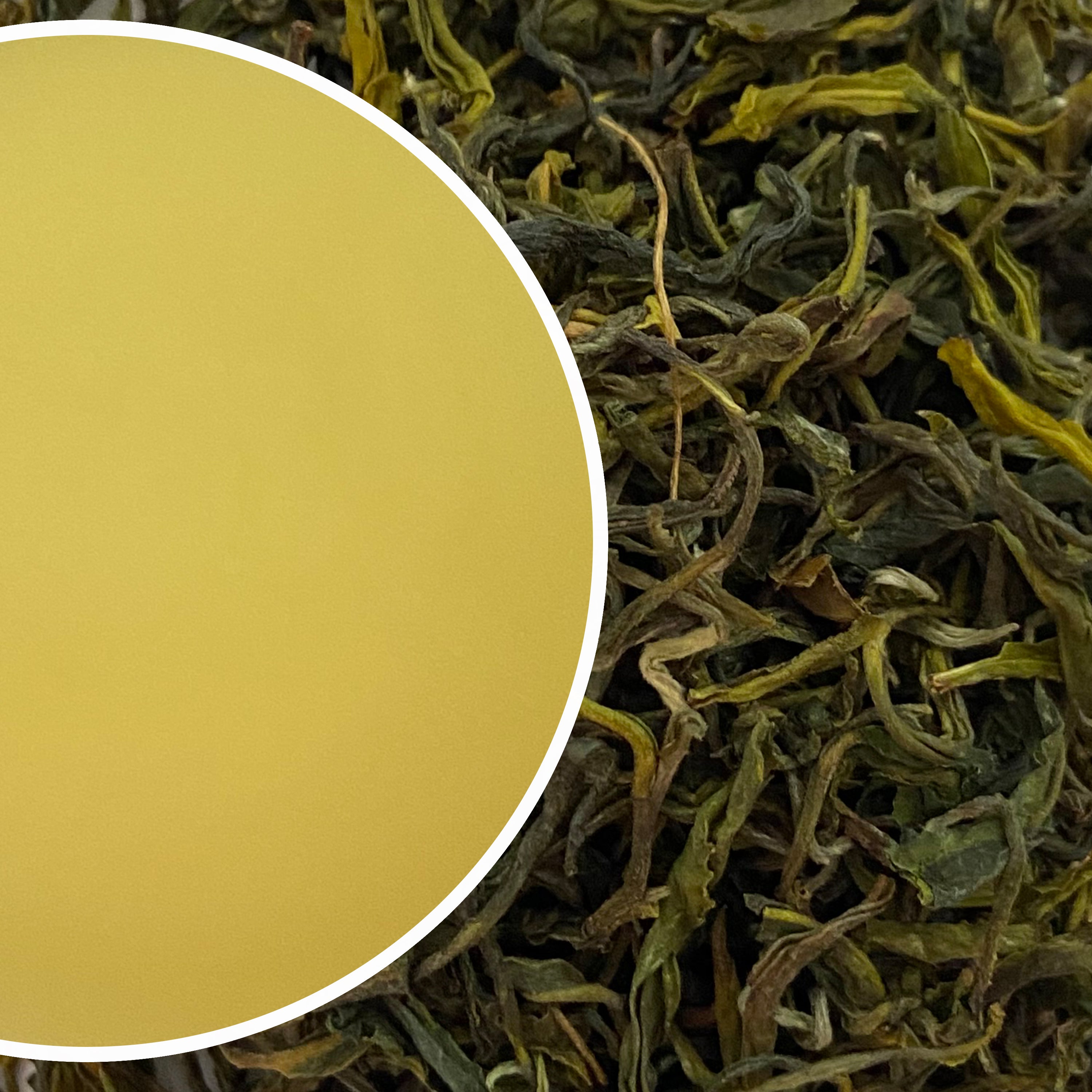 Arya - Emerald Organic Darjeeling Green Tea First Flush 2026