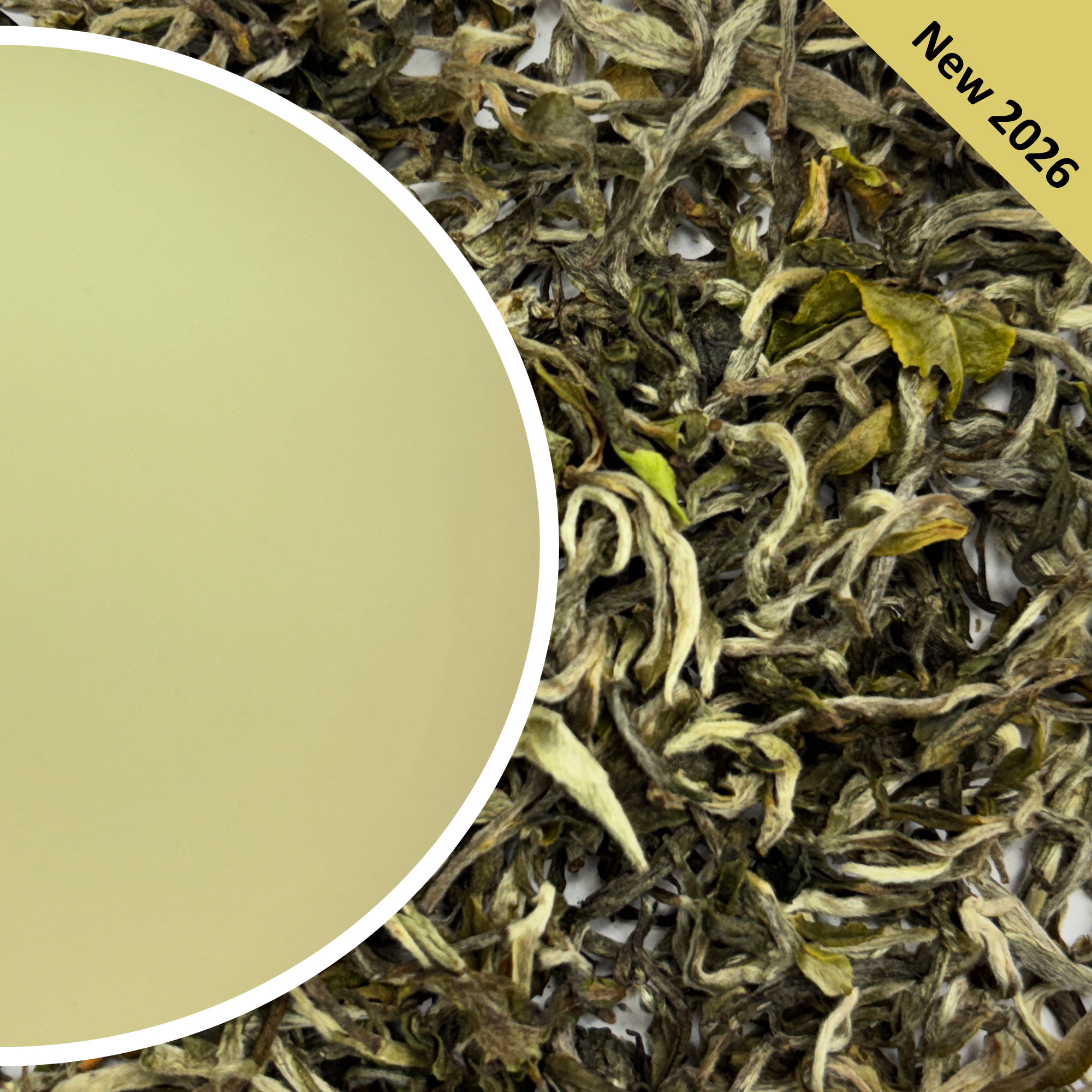 Glenburn - Spring Moonshine Darjeeling Black Tea First Flush 2026