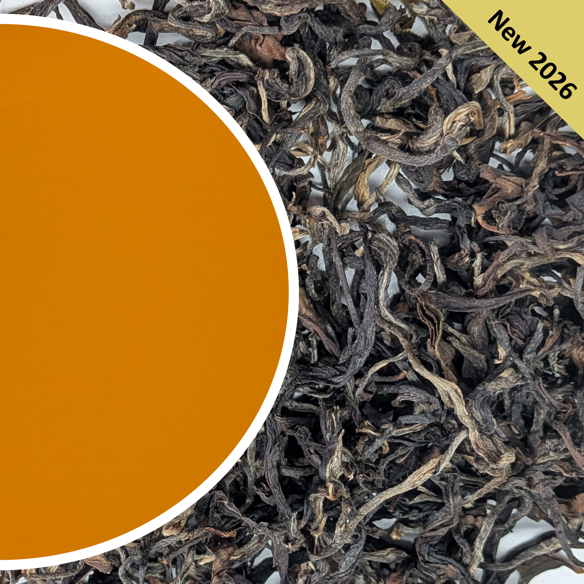 Glenbur - Summer Magic - Darjeeling Tea Second Flush 2026