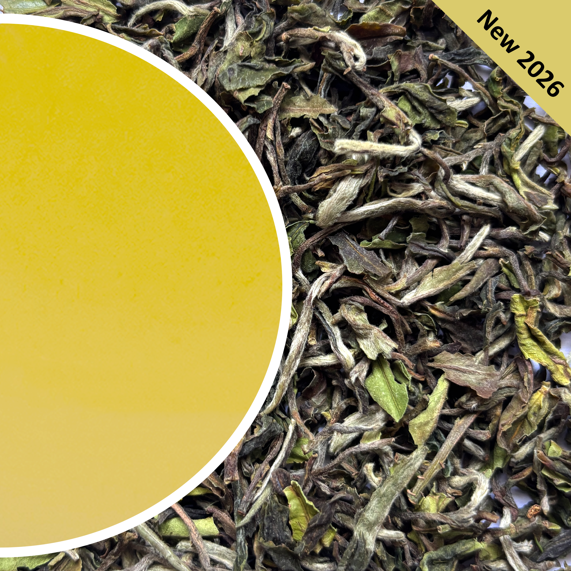 Mim - Spring Meadow Organic Darjeeling Tea First Flush 2026