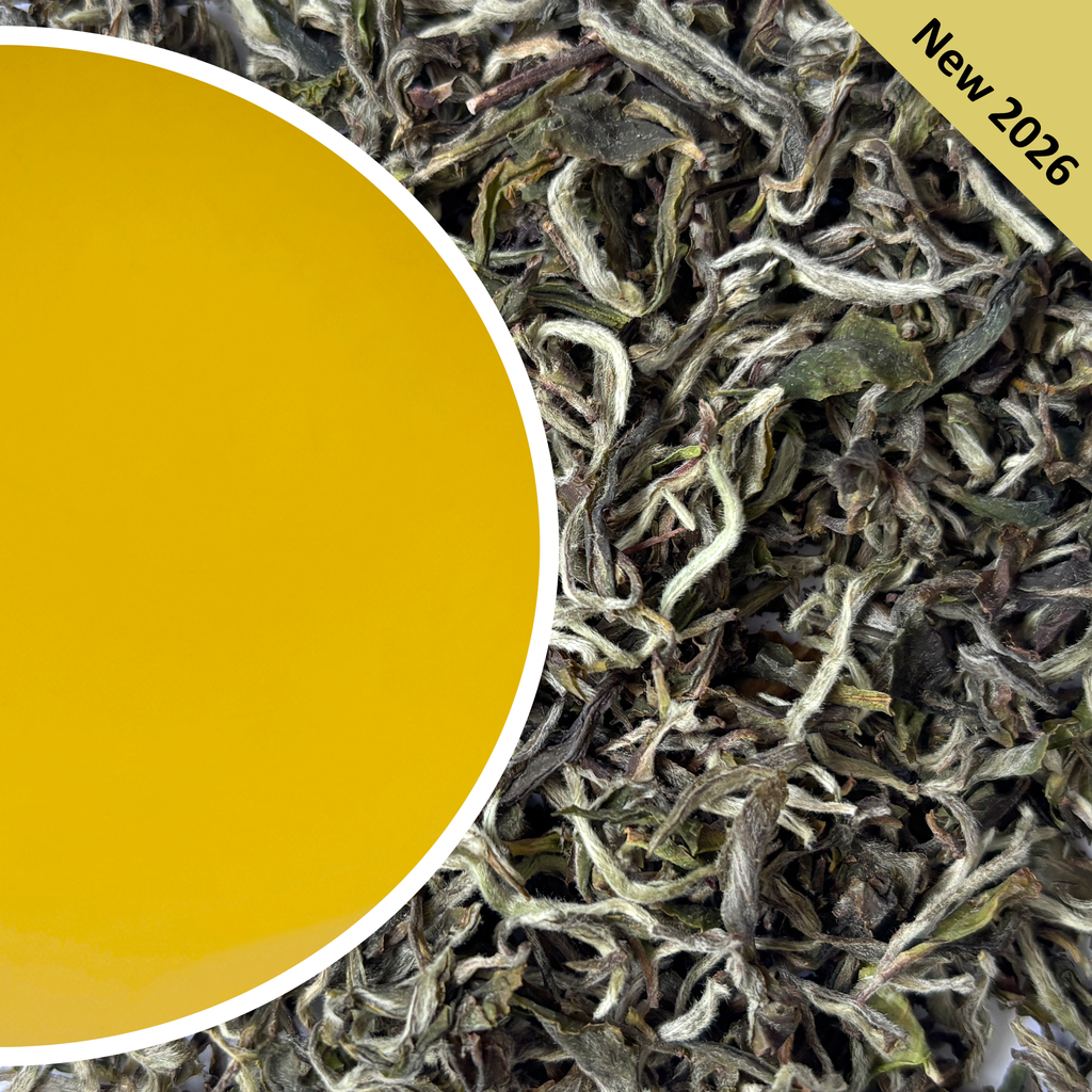 Turzum - Moonlight Star Darjeeling Tea First Flush 2026