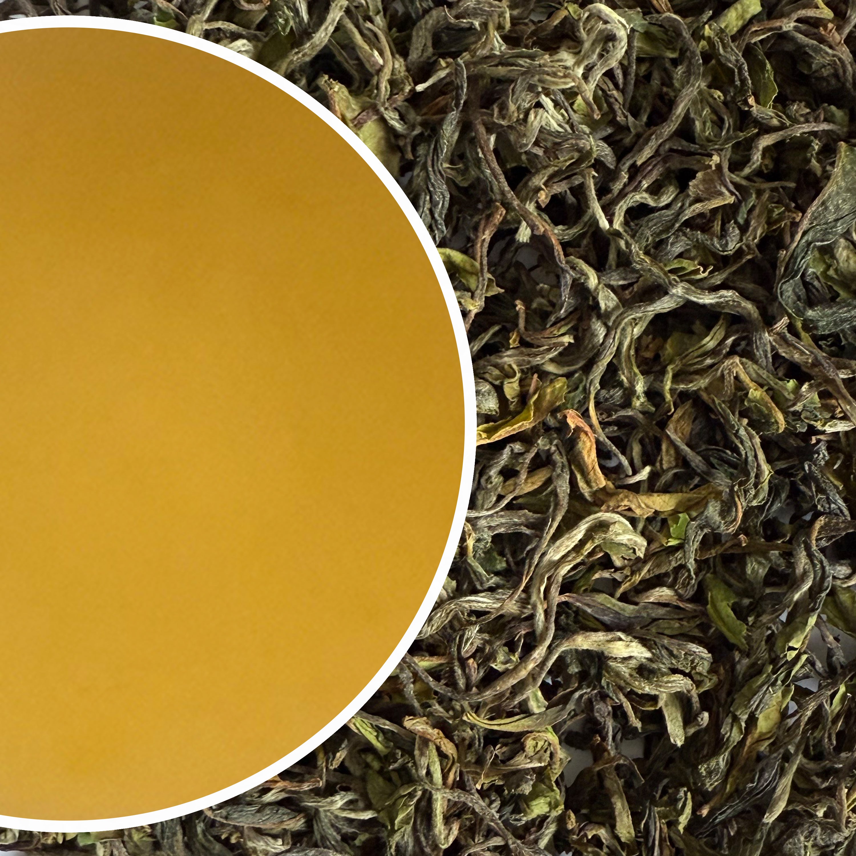 Arya - Spring Diamond Organic Darjeeling Black Tea First Flush 2025
