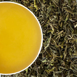 Arya - Spring Chinary Organic Darjeeling Black Tea First Flush 2025