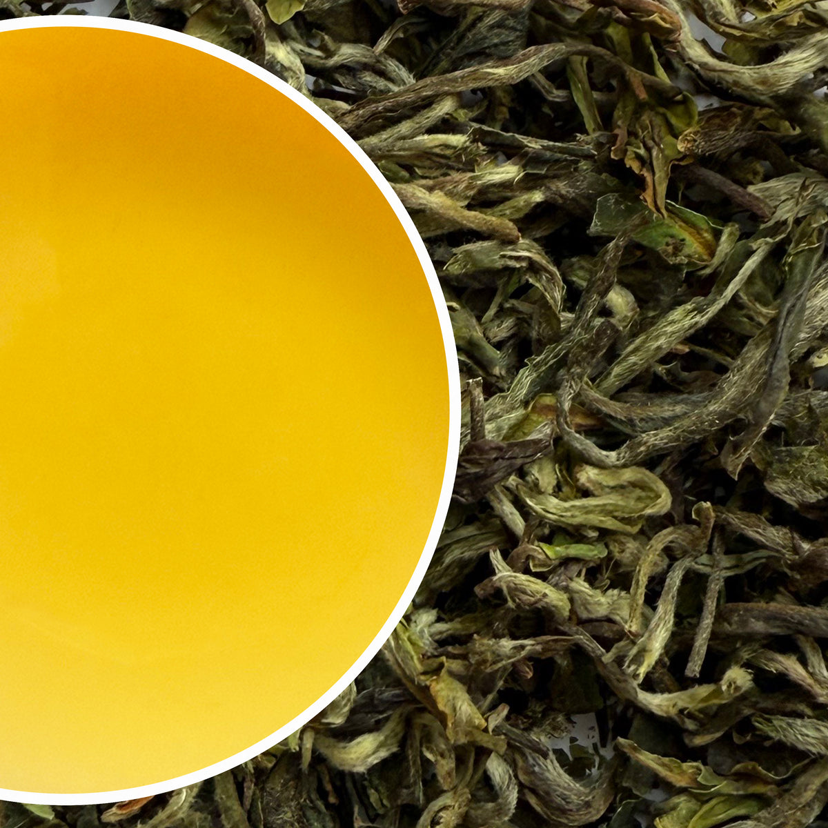 Avongrove - Spring Organic Darjeeling Black Tea First Flush 2025
