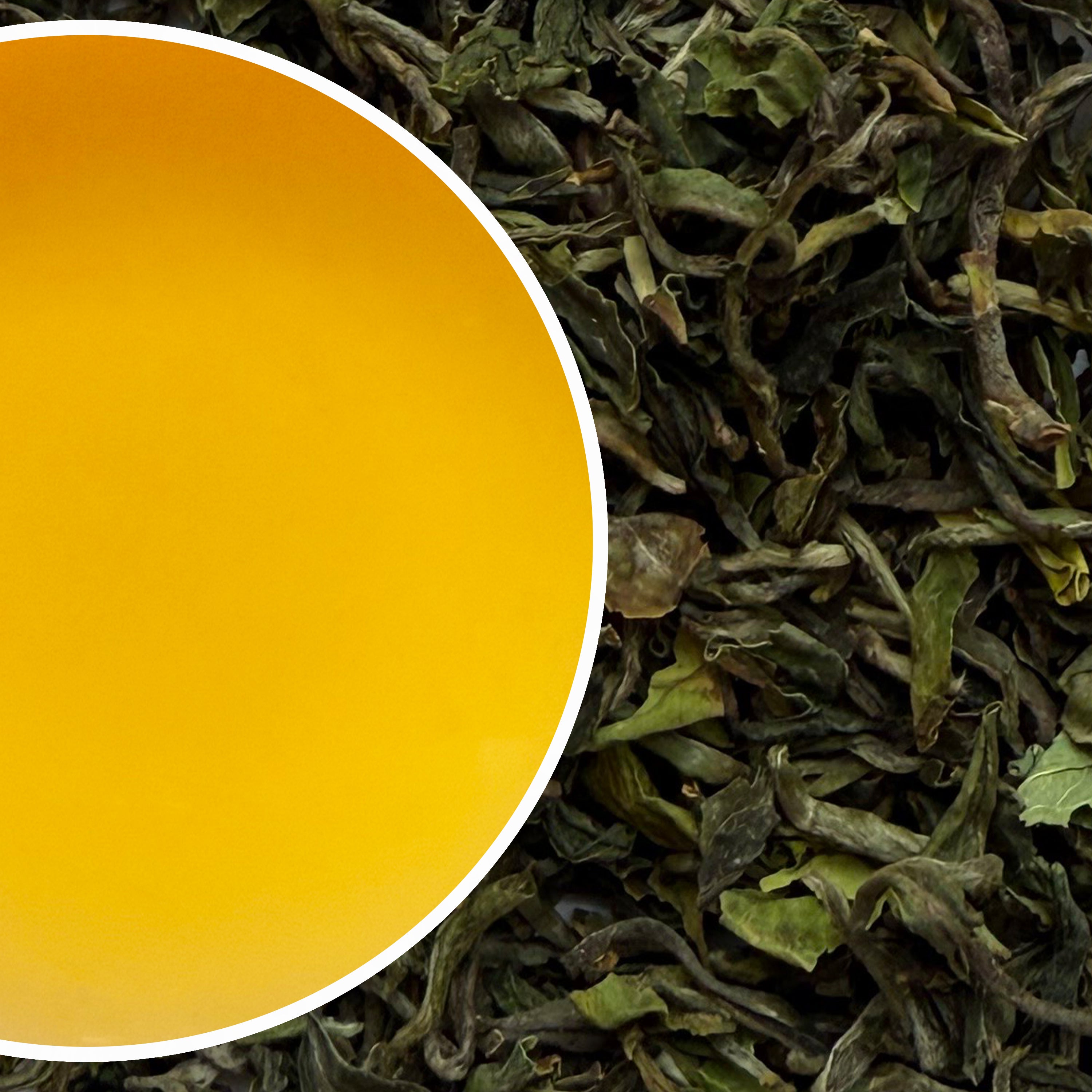 Avongrove - Imperial Spring Classic Orgaanic Darjeeling Black Tea First Flush 2025