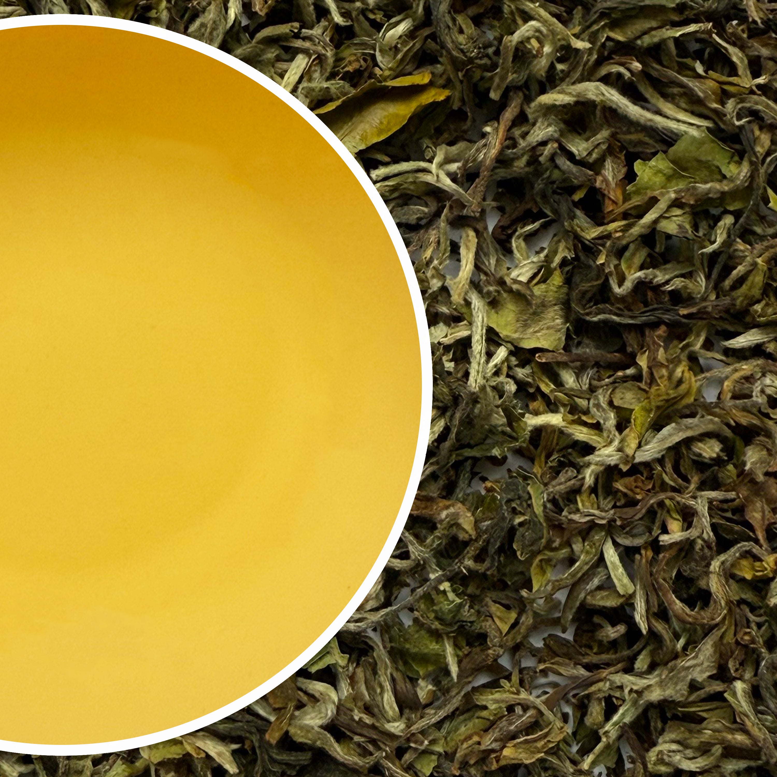 Castleton - Exotic Spring Moonlight Darjeeling Black Tea First Flush 2025