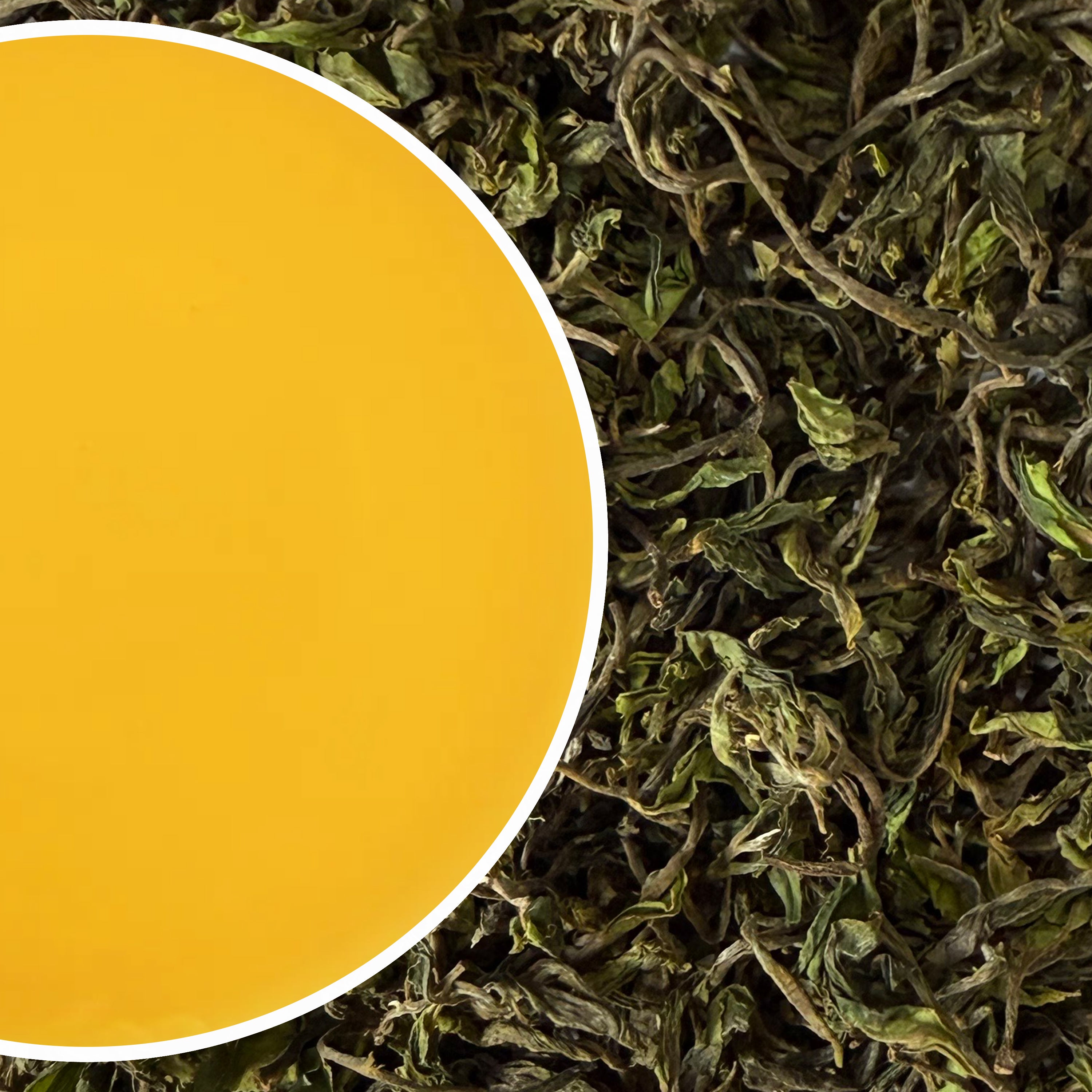 Giddapahar - Spring Scenario Darjeeling Black Tea First Flush 2025