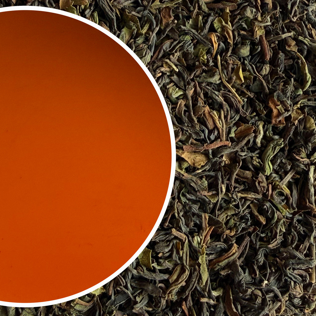 Giddapahar - Autumn Allure Darjeeling Black Tea Autumn Flush 2025