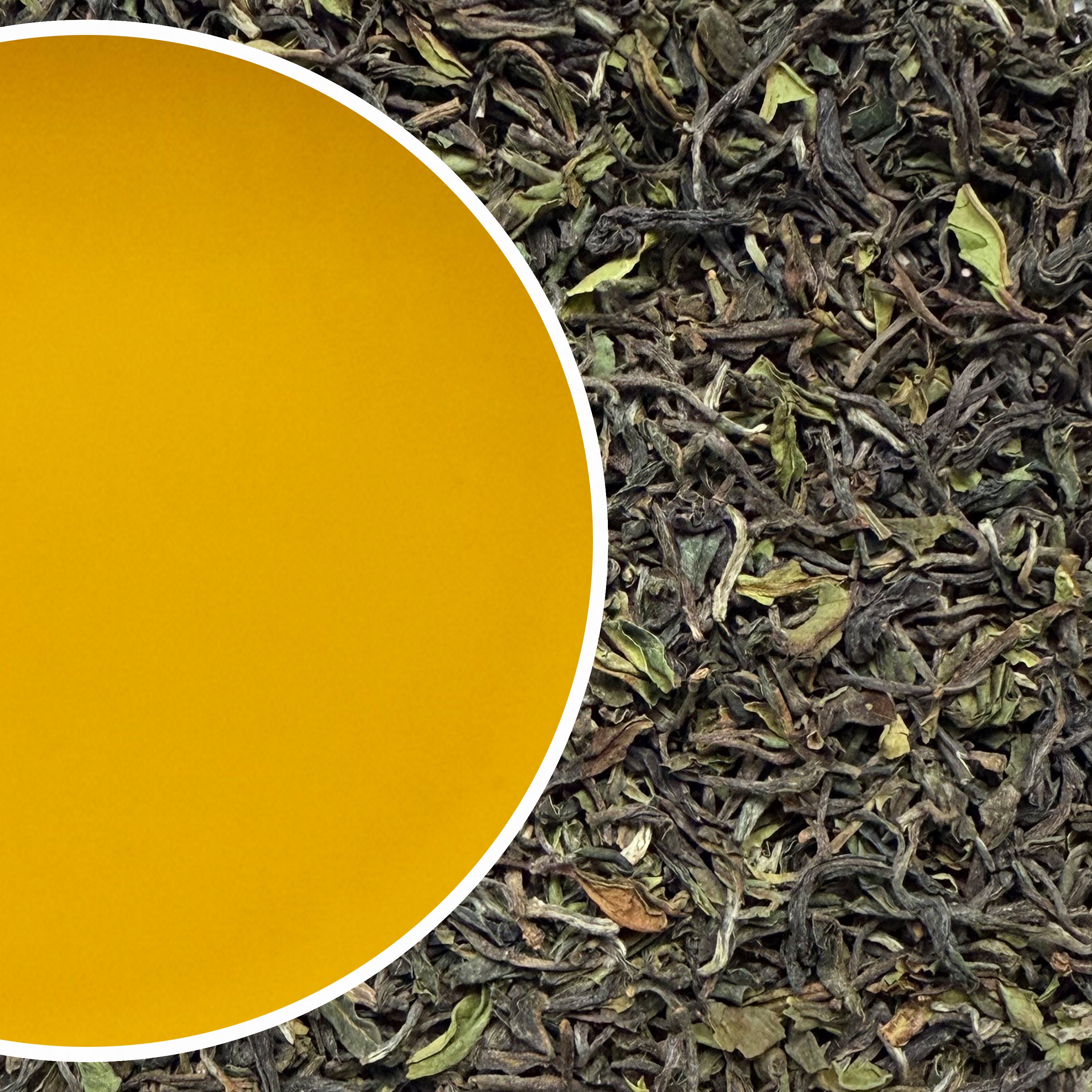 Gopaldhara - Moondrop Spring Darjeeling Black Tea First Flush 2025