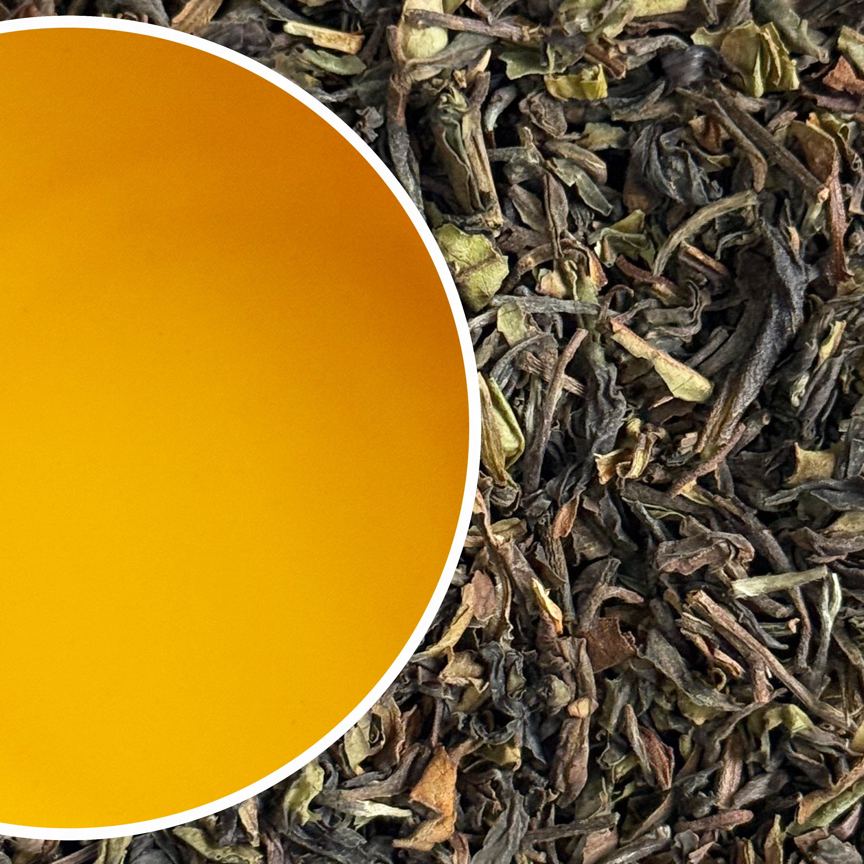 North Tukvar - Spring Siesta Darjeeling Black Tea First Flush 2025