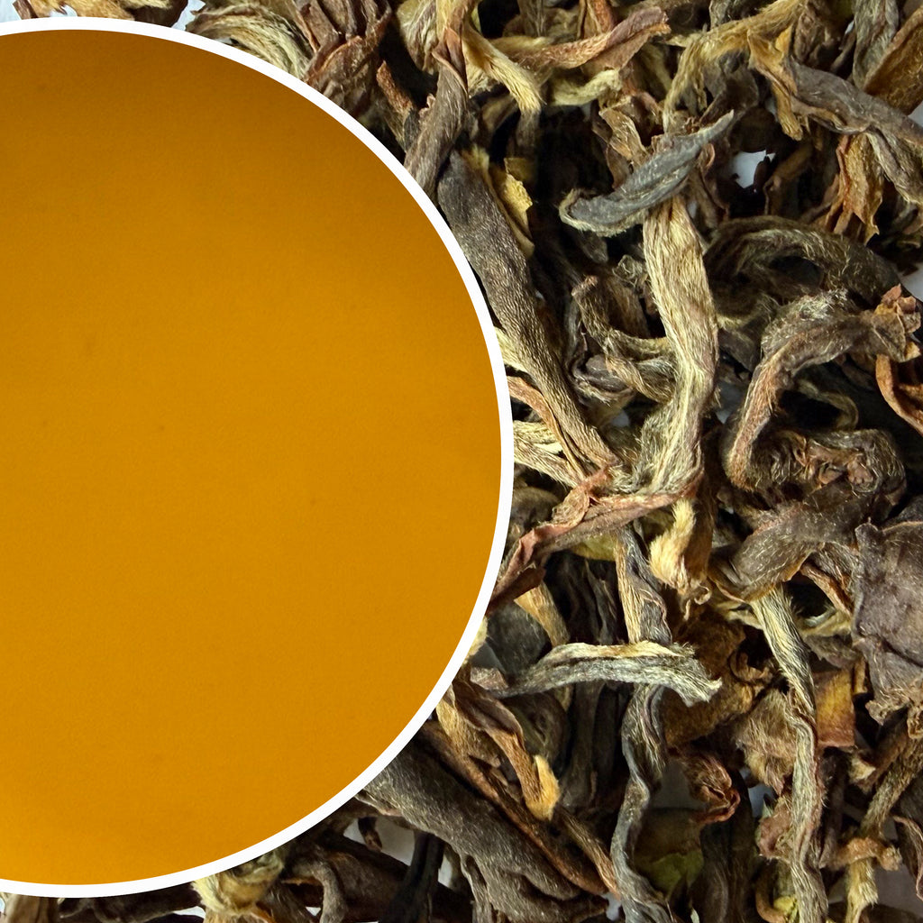Arya - Autumnal Ruby Quasar Organic Darjeeling Black Tea Autumn Flush 2025