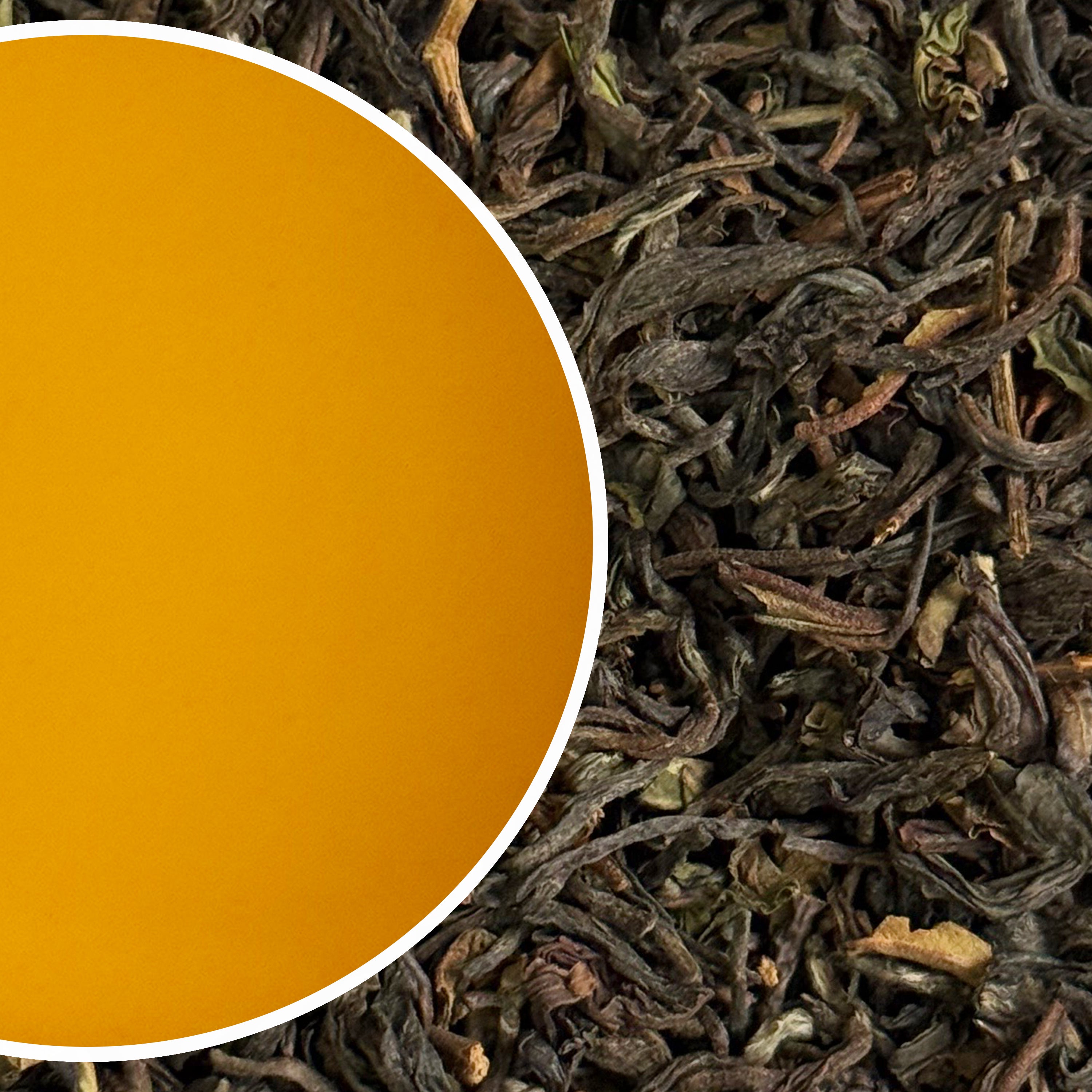Rohini - Spring Adios Darjeeling Black Tea First Flush 2025