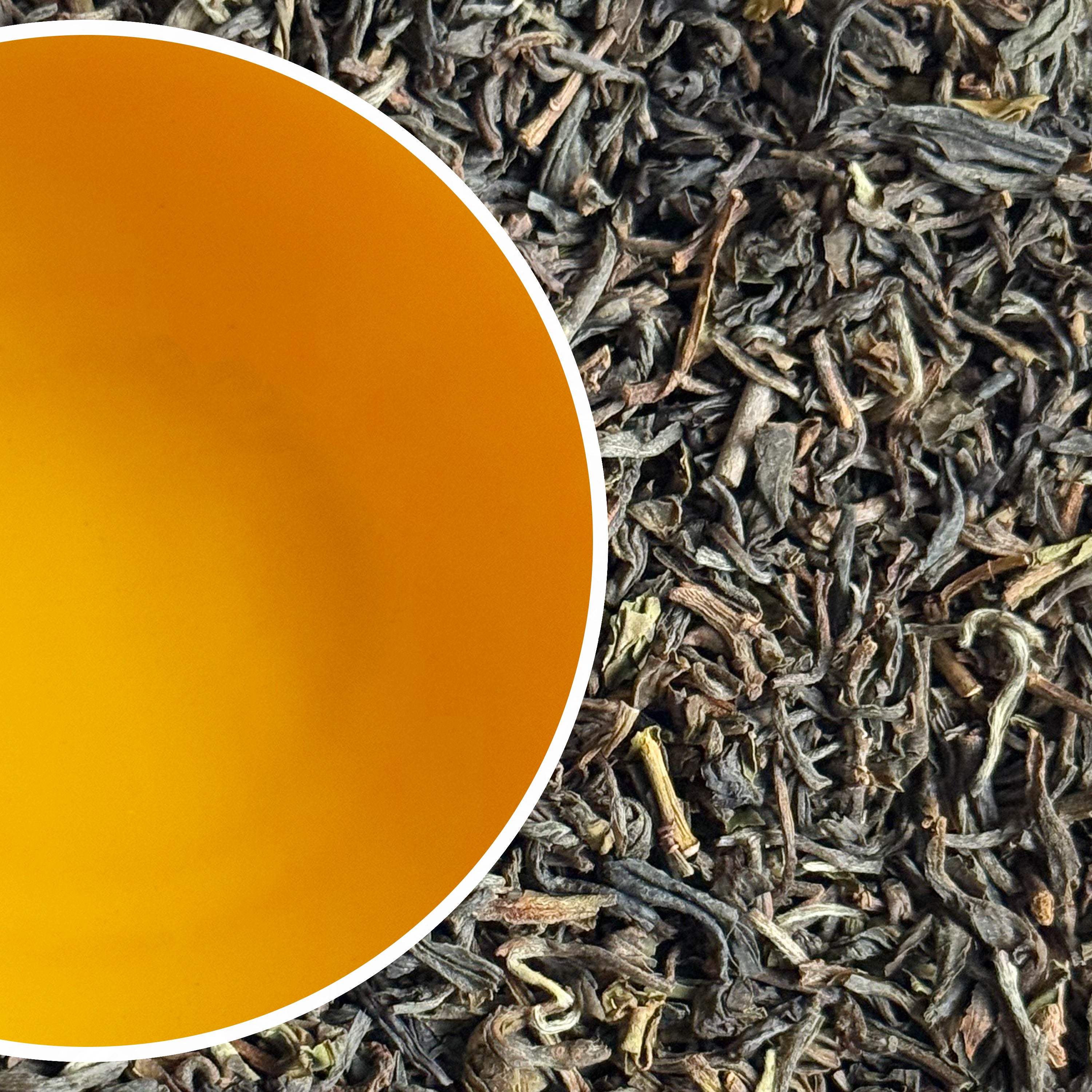Thurbo- Spring Cherish Darjeeling Black Tea First Flush 2025