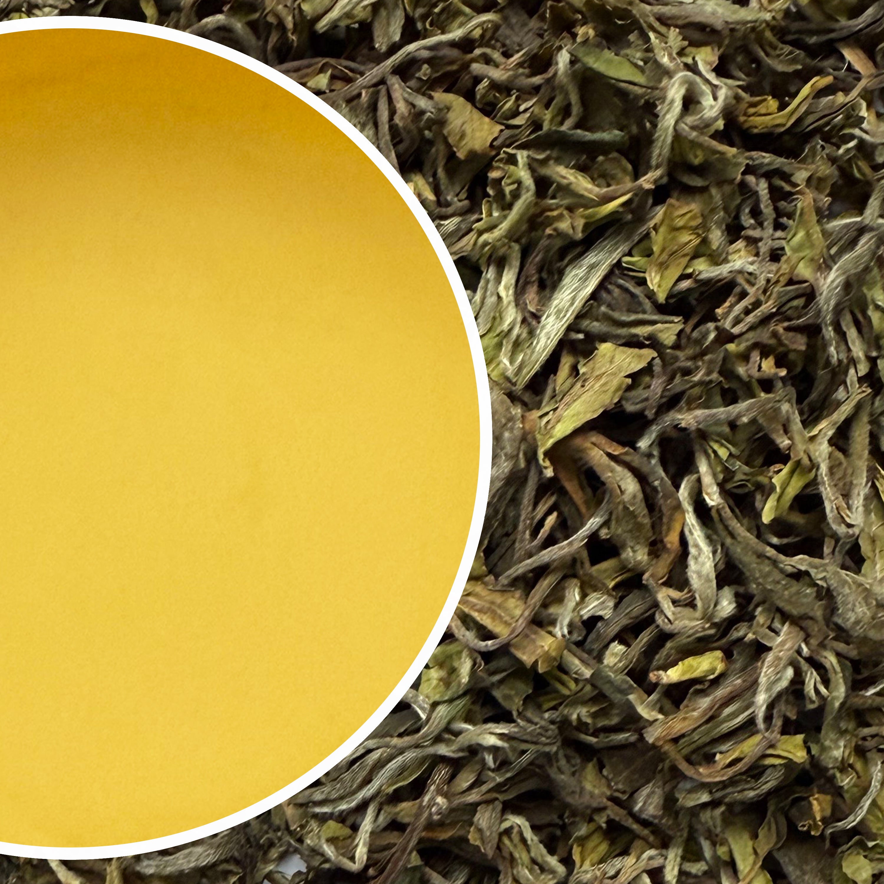 Margaret's Hope - Moonlight Spring Darjeeling Black Tea First Flush 2025