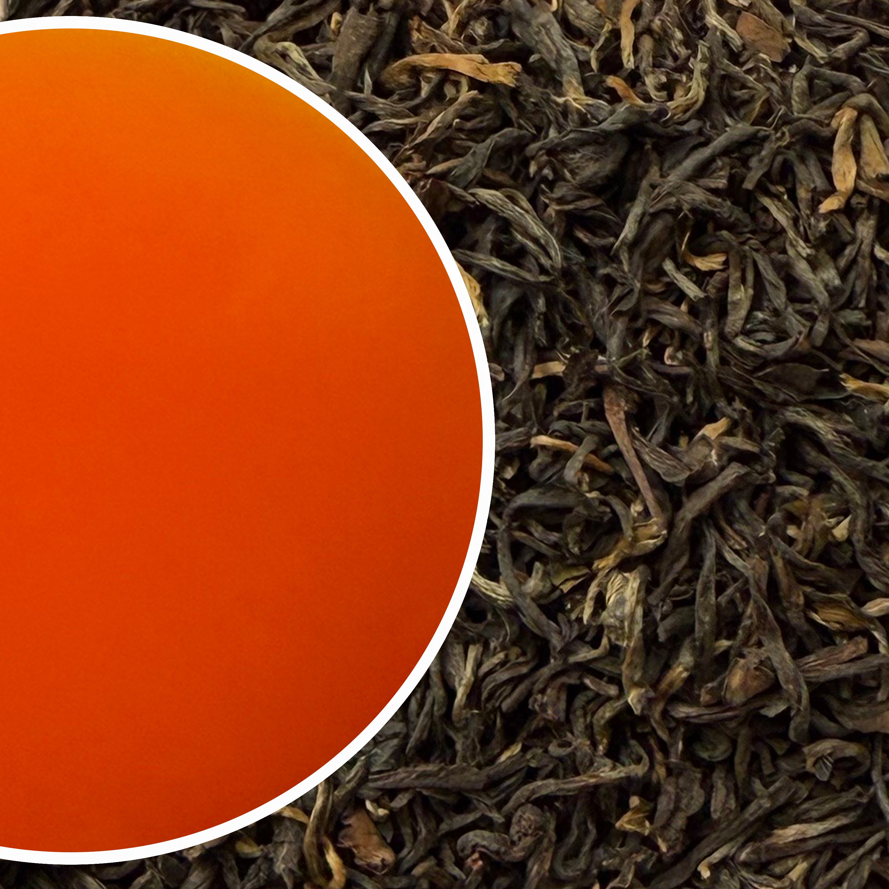 Glenburn - Muscatel Wonder Darjeeling Black Tea Second Flush 2025