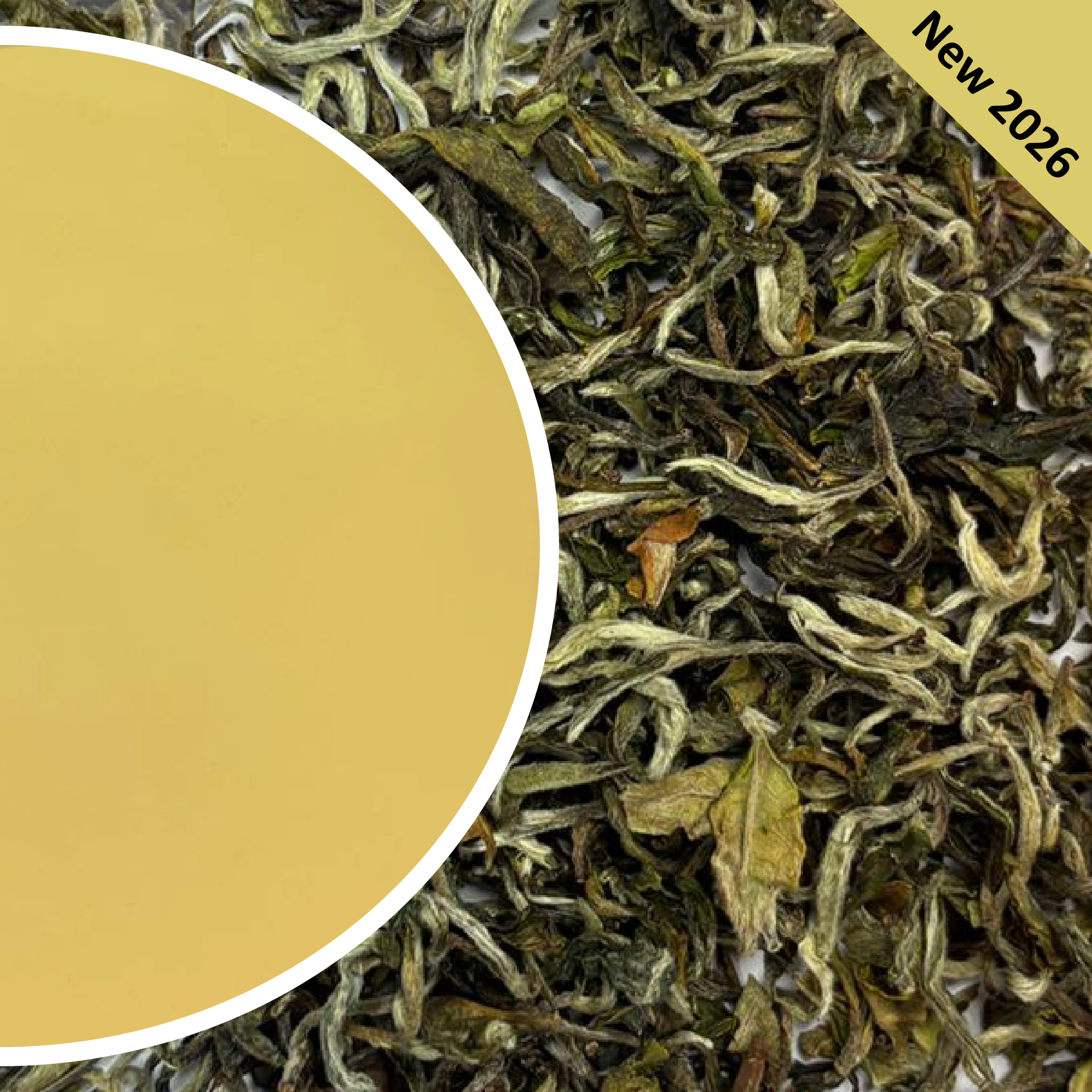 Namring Upper - Spring Delizia Darjeeling Black Tea First Flush 2026