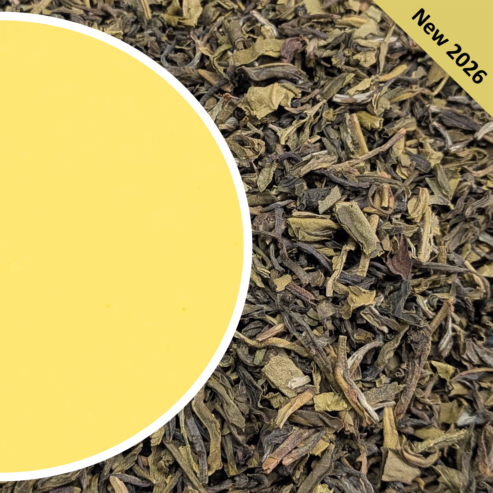 North Tukvar - Green Fortune - Darjeeling Tea Second Flush 2026