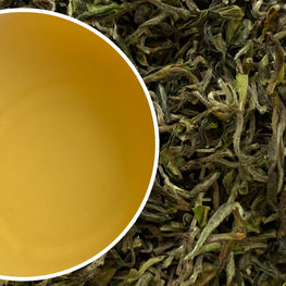 Tukvar - Spring Buds Darjeeling Black Tea First Flush 2024