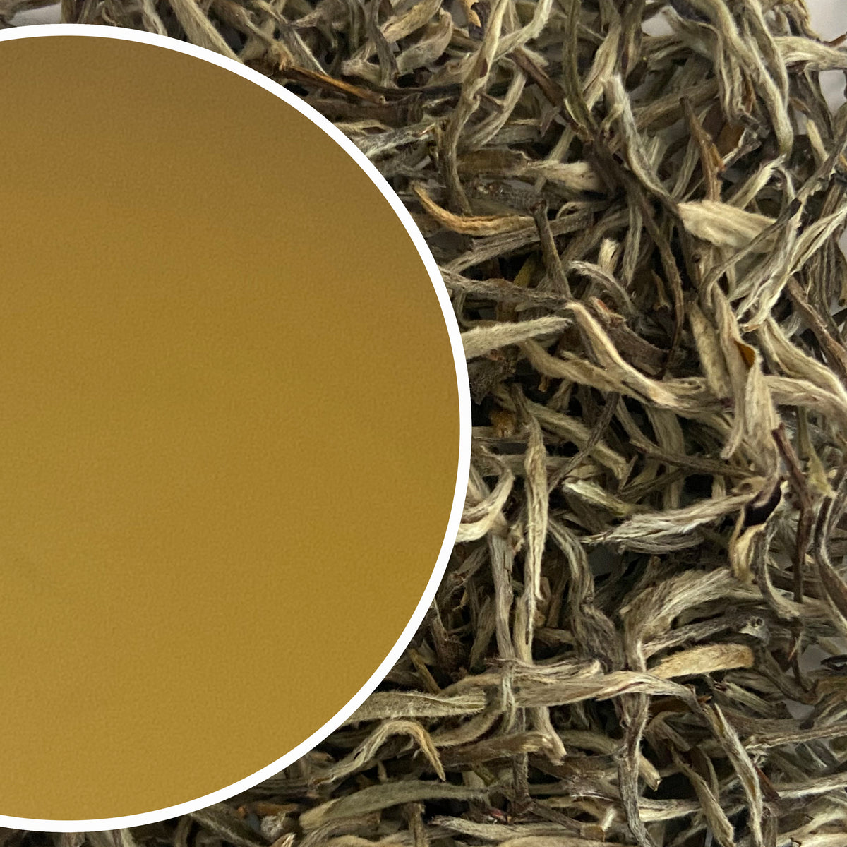 Okayti - Silver Needle Organic Darjeeling White Tea Second Flush 2026