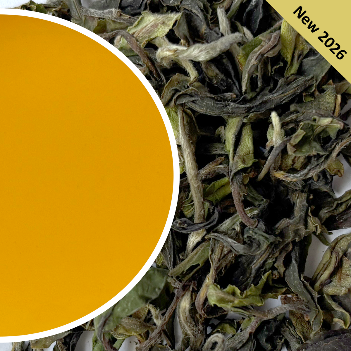 Ringtong - Spring Sway Darjeeling Tea First Flush 2026