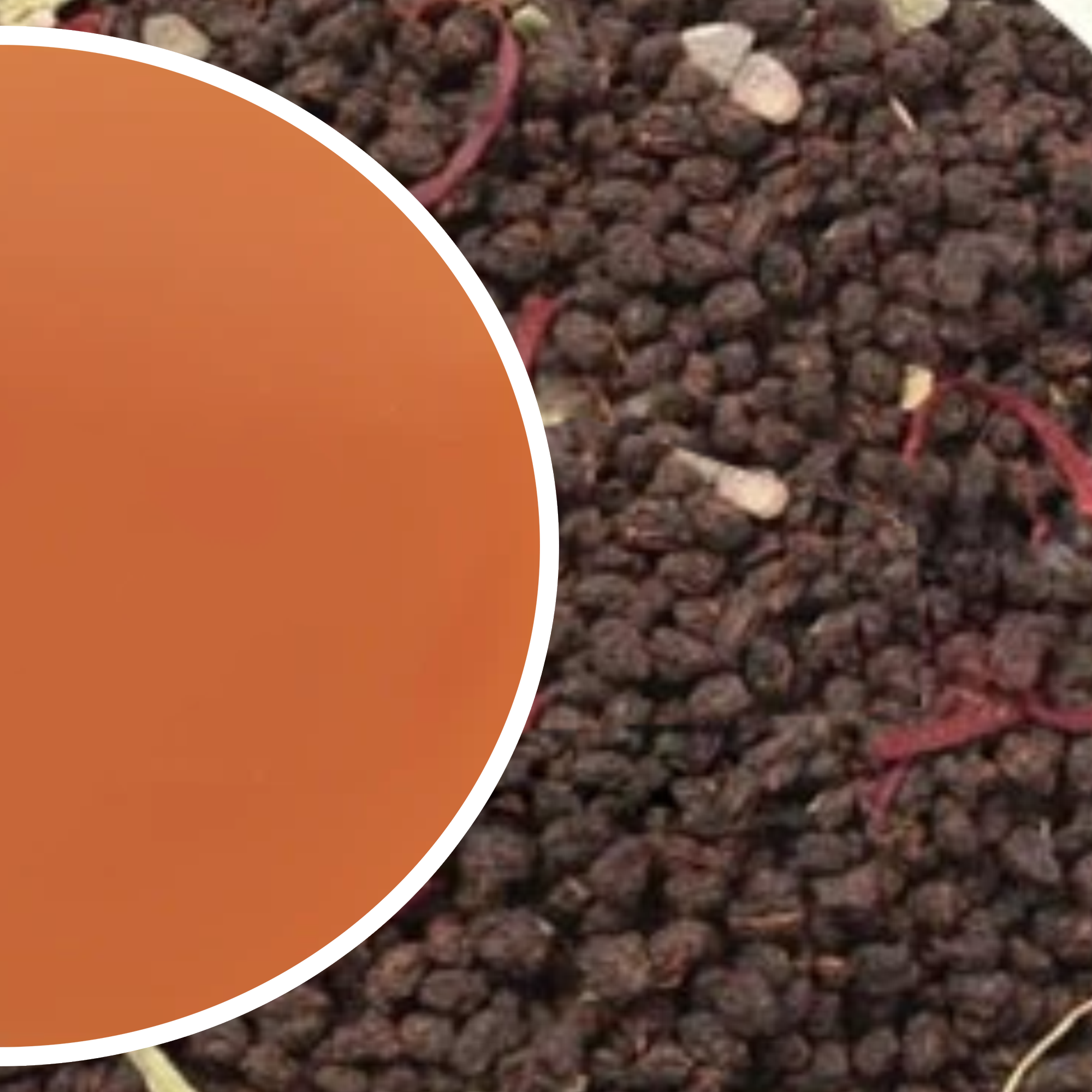 Kesar Elaichi Chai