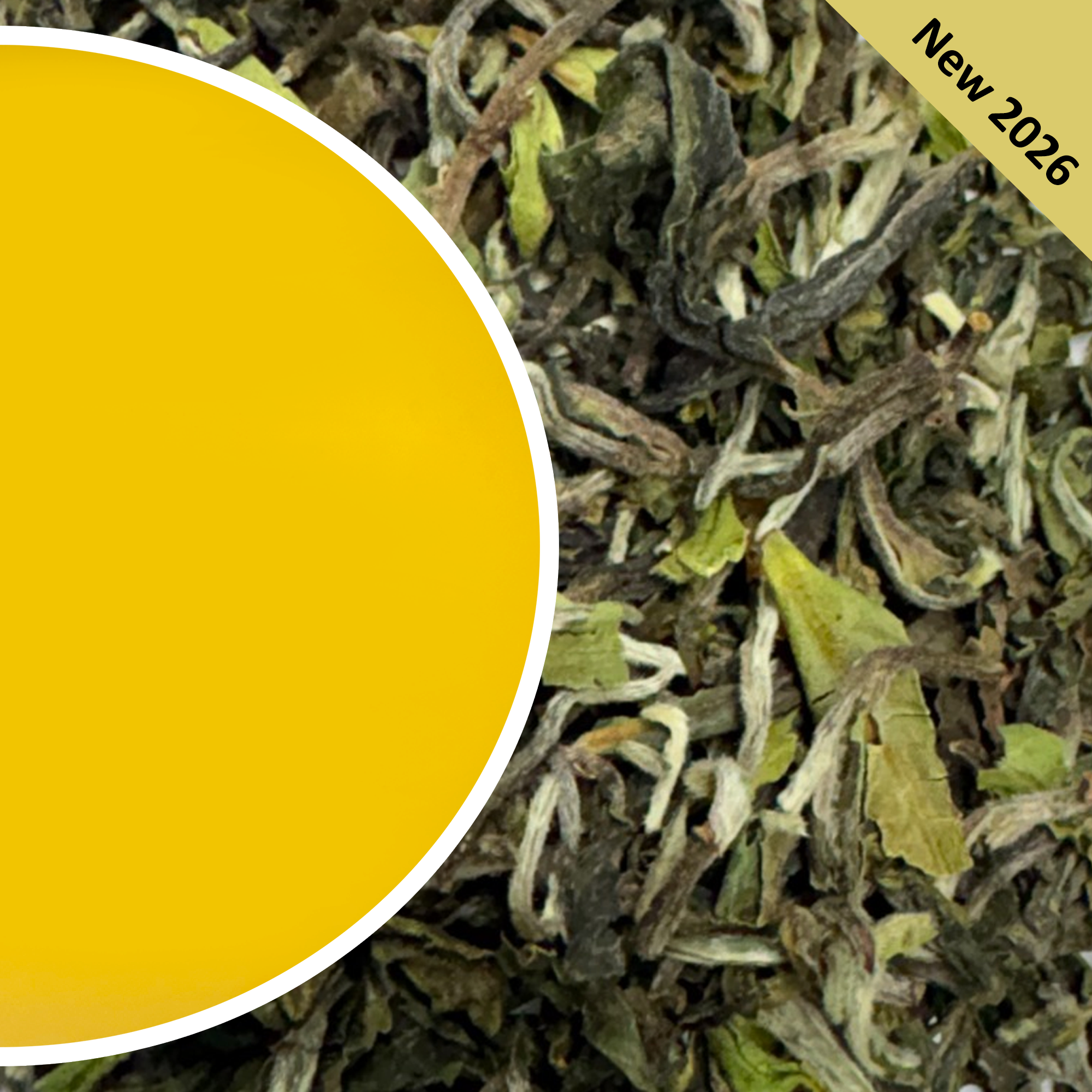 Puttabong - Spring Moondrop Darjeeling Black Tea First Flush 2026