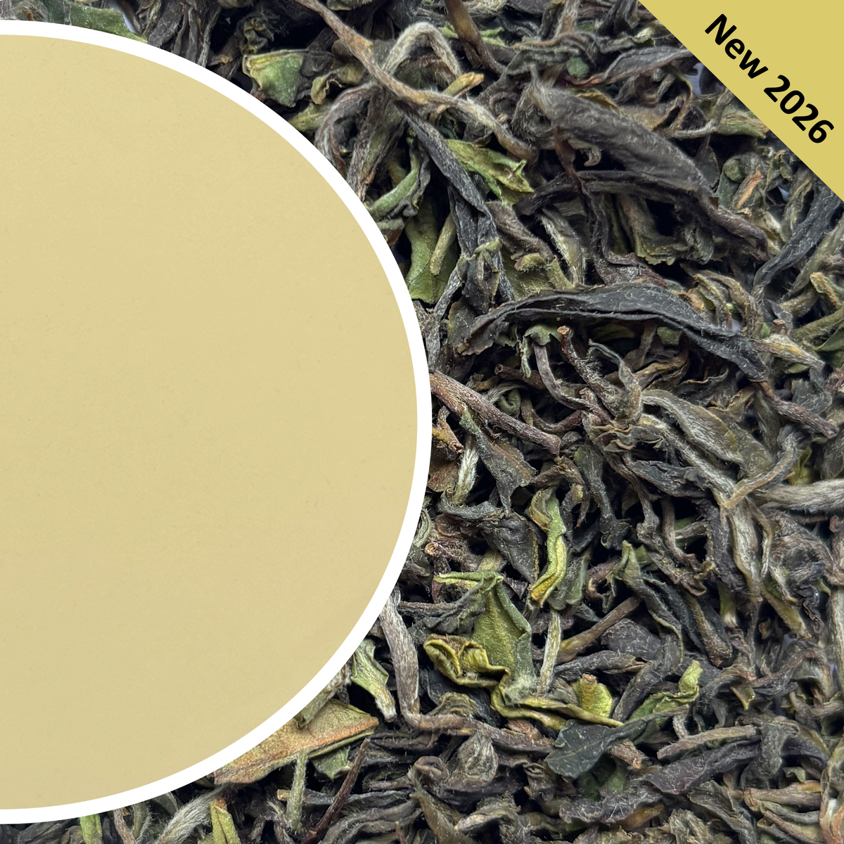 Wah - Spring King Kangra Tea First Flush 2026