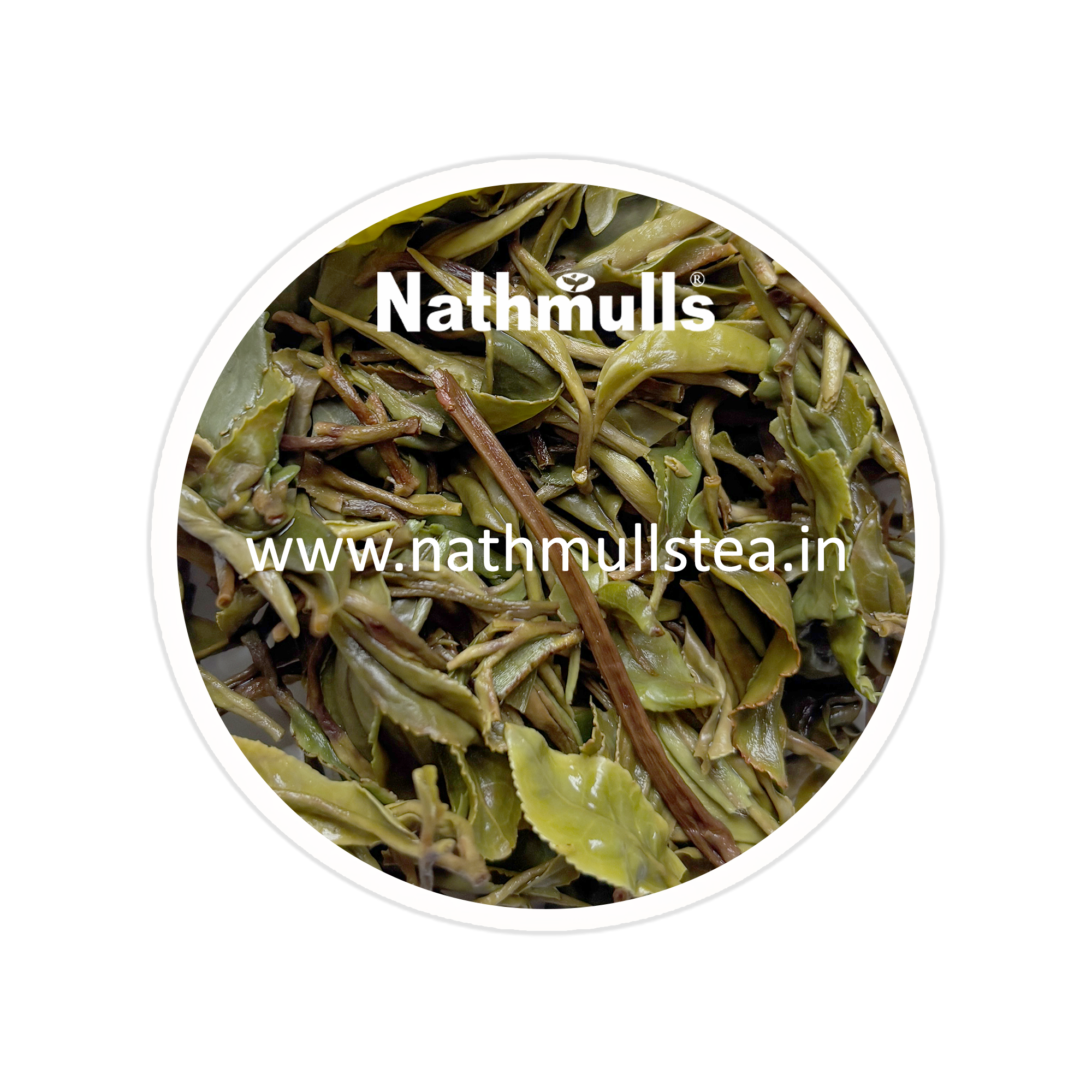 Wah - Spring King Kangra Tea First Flush 2026