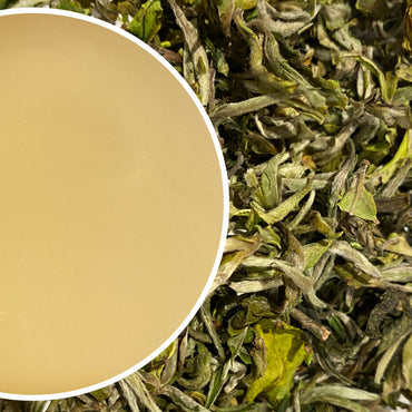 Thurbo - Spring Moonlight Darjeeling Black Tea First Flush 2024