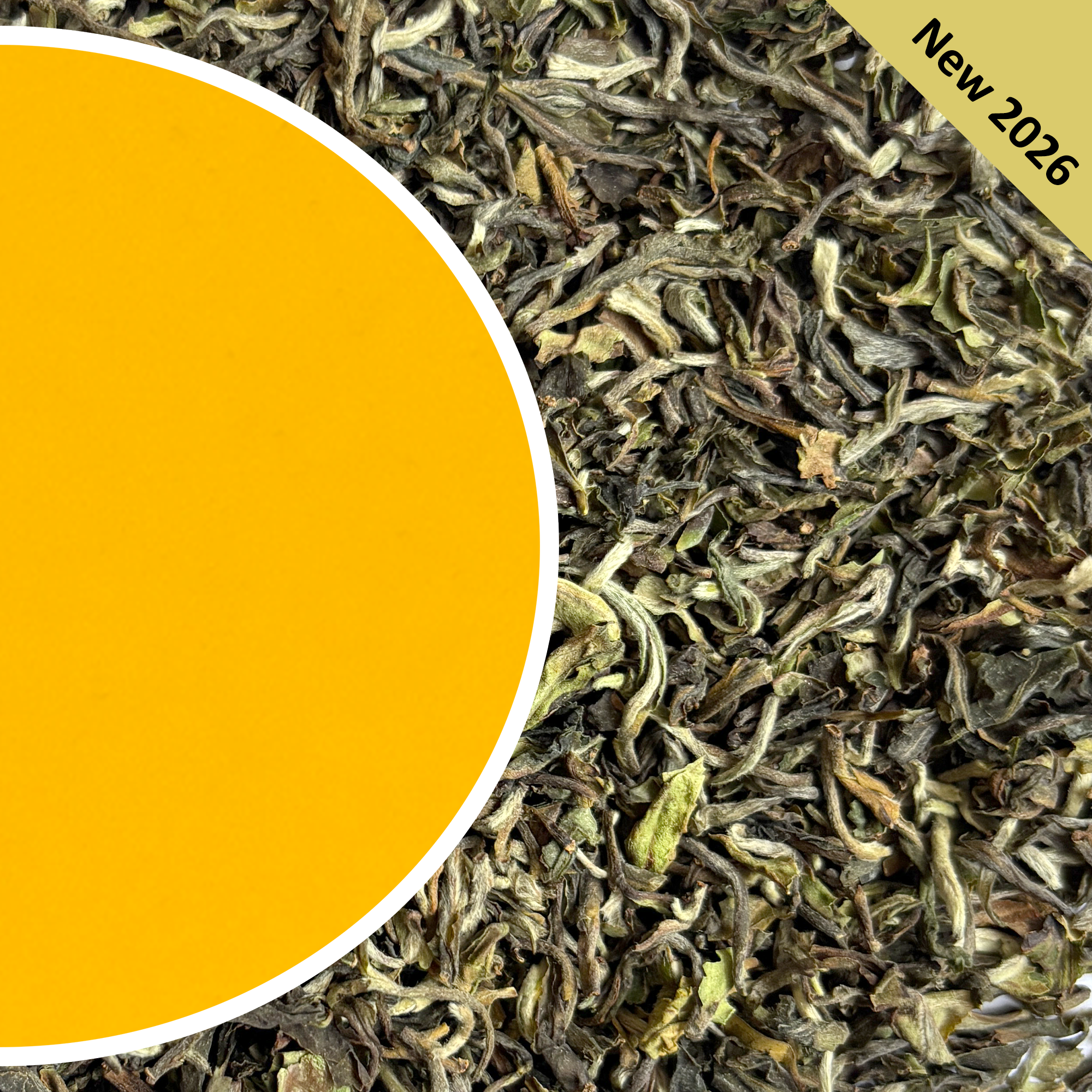 Upper Fagu - Spring Safari Darjeeling Black Tea First Flush 2026