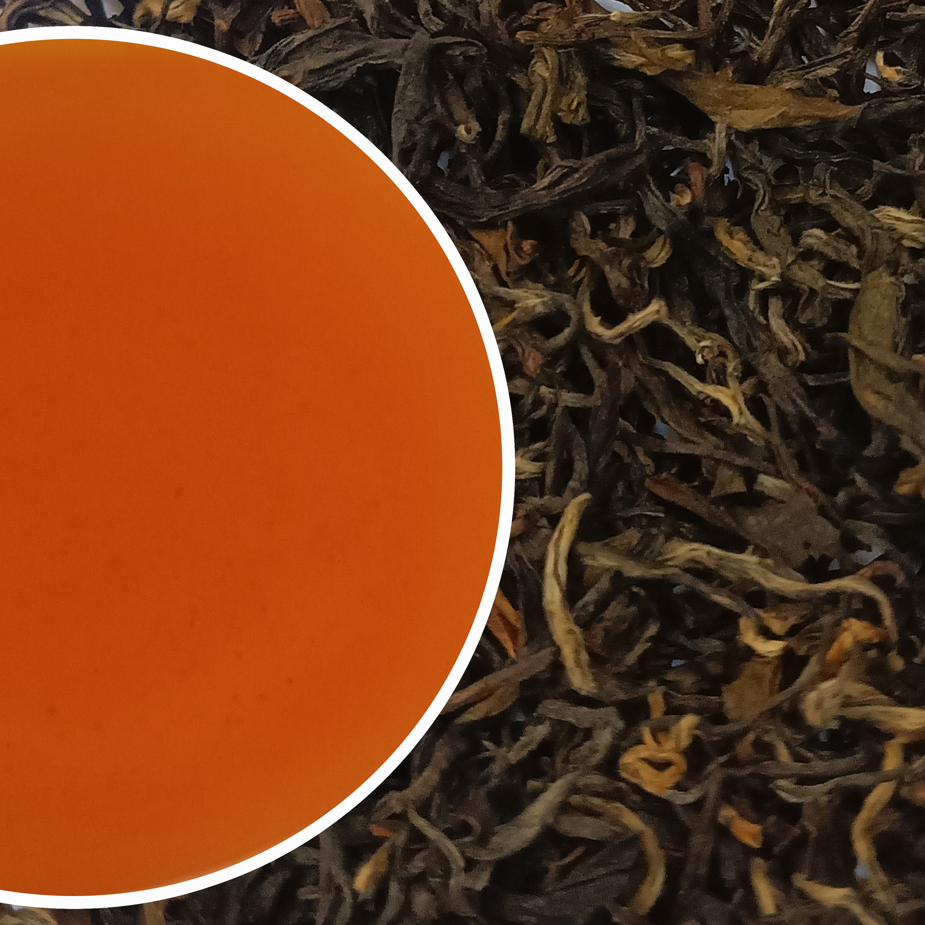Turzum - Summer Moondrop Magic Organic Darjeeling Black Tea Second Flush 2023