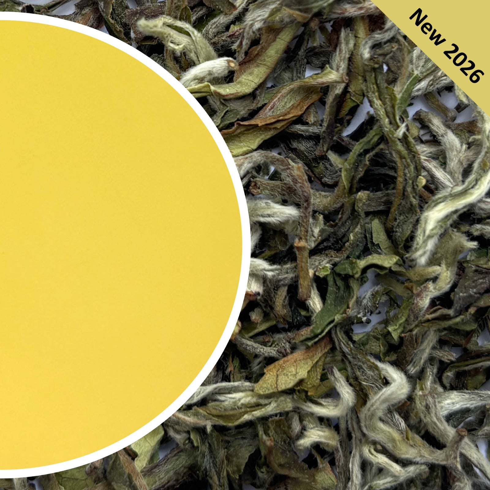 Mim - Mystical Spring Darjeeling Black Tea First Flush 2026