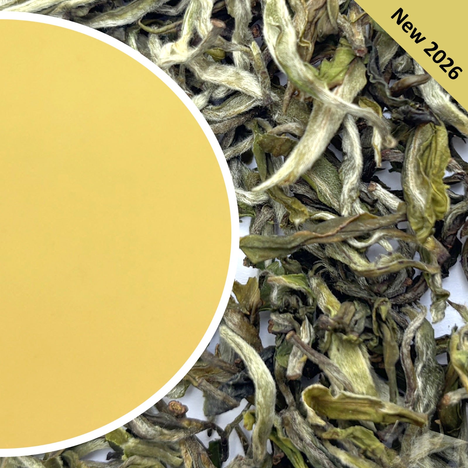 Mim - Mystical Spring Darjeeling Black Tea First Flush 2026