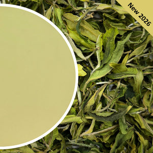 Arya - Spring Pearl Organic Darjeeling White Tea First Flush 2026