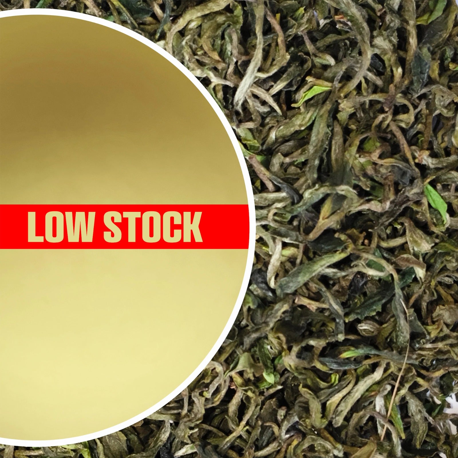 Wah - Spring King Kangra Black Tea First Flush 2025