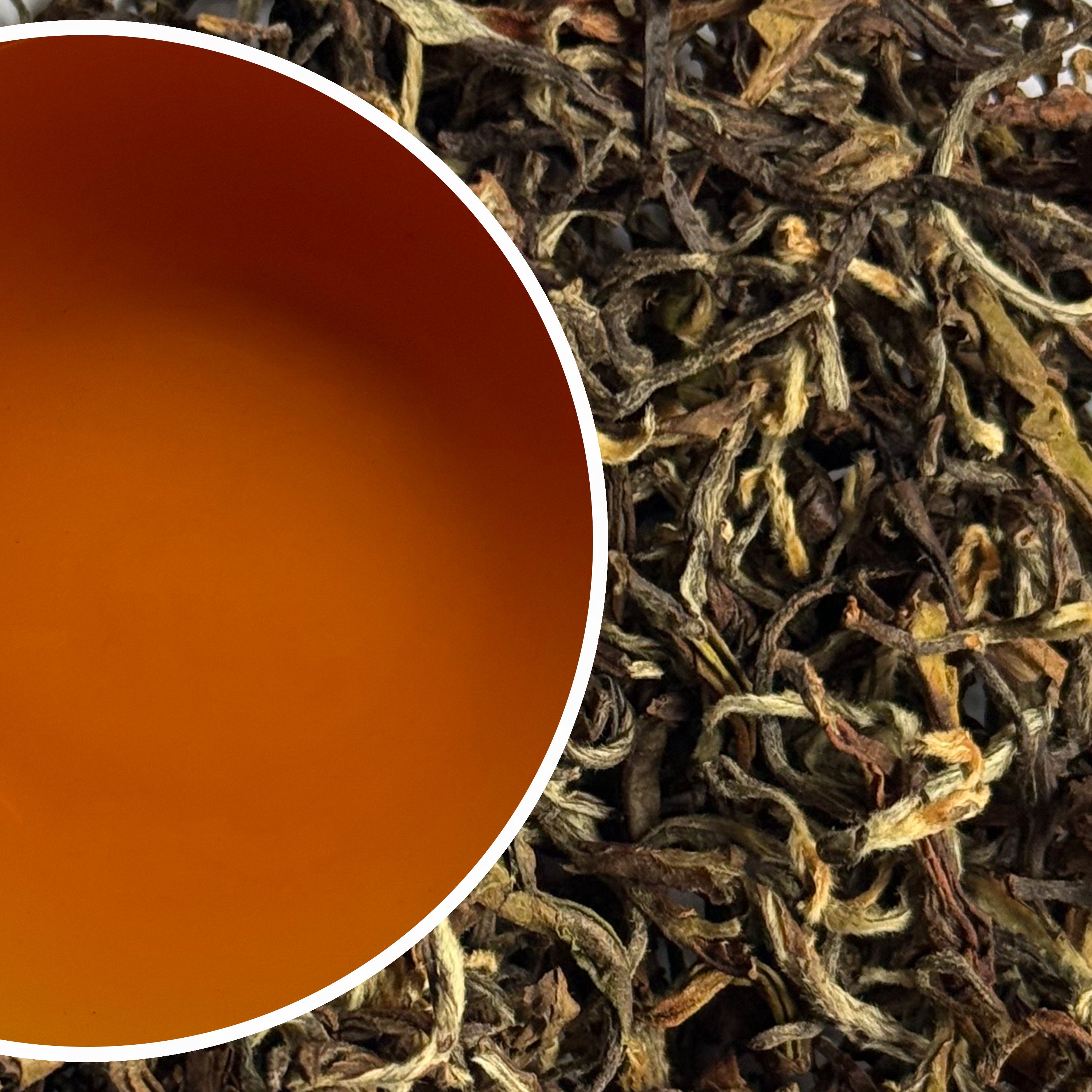 Arya - Summer Diamond Star Organic Darjeeling Black Tea Second Flush 2025