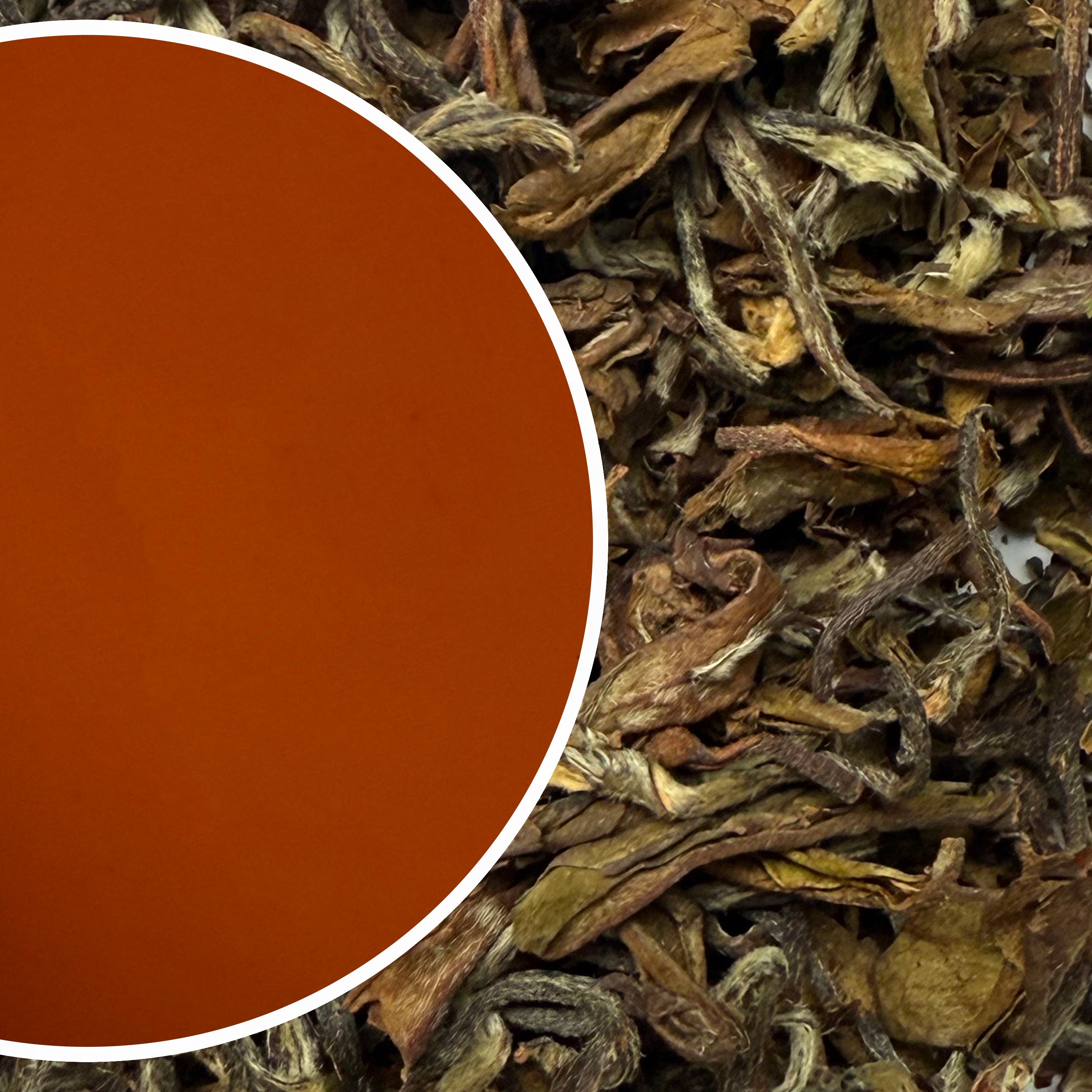 Arya - Moonbeam Organic Darjeeling Black Tea Second Flush 2025 (Limited Edition)